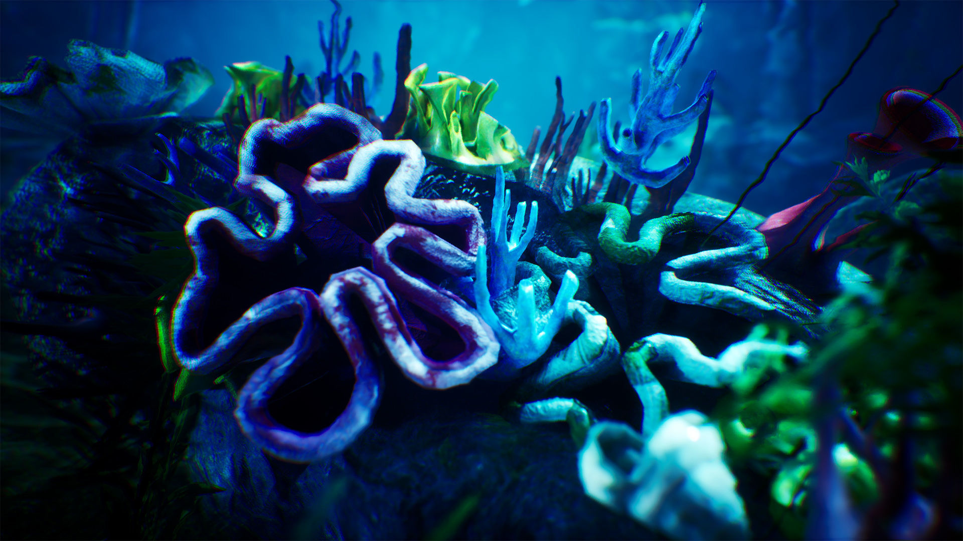 Underwater World  70 Assets Low-poly 3D model_8