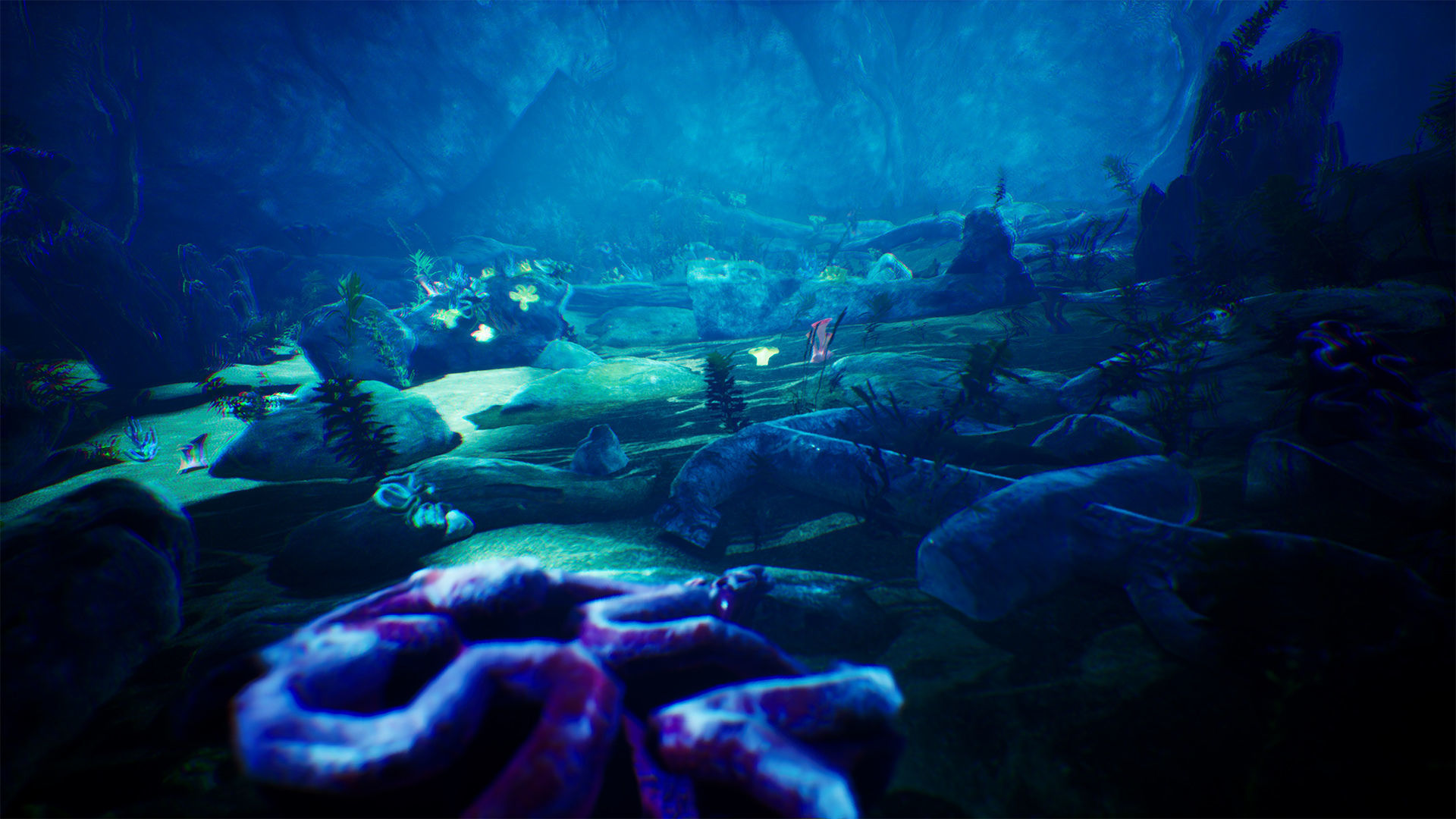 Underwater World  70 Assets Low-poly 3D model_2