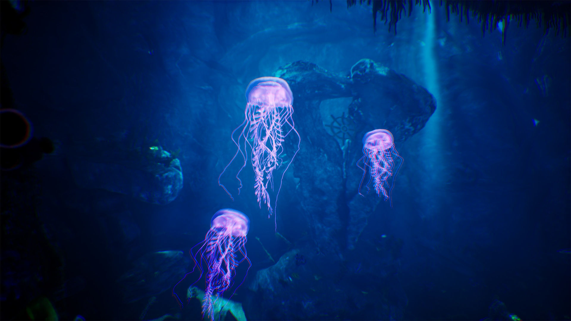 Underwater World  70 Assets Low-poly 3D model_9