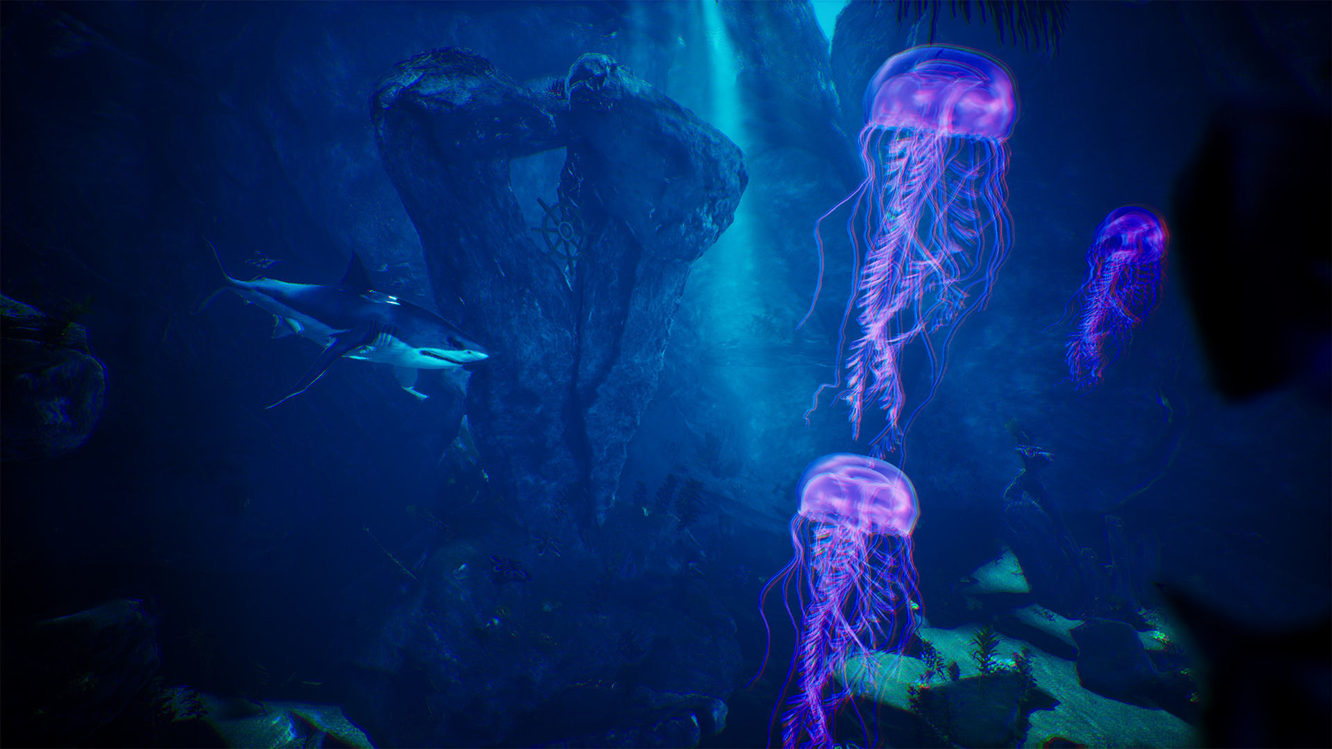 Underwater World  70 Assets Low-poly 3D model_5