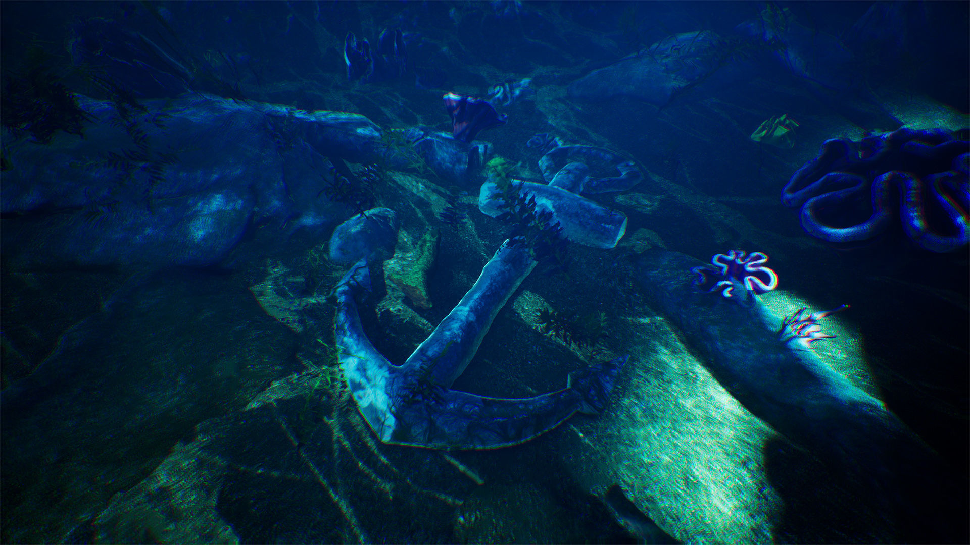 Underwater World  70 Assets Low-poly 3D model_6