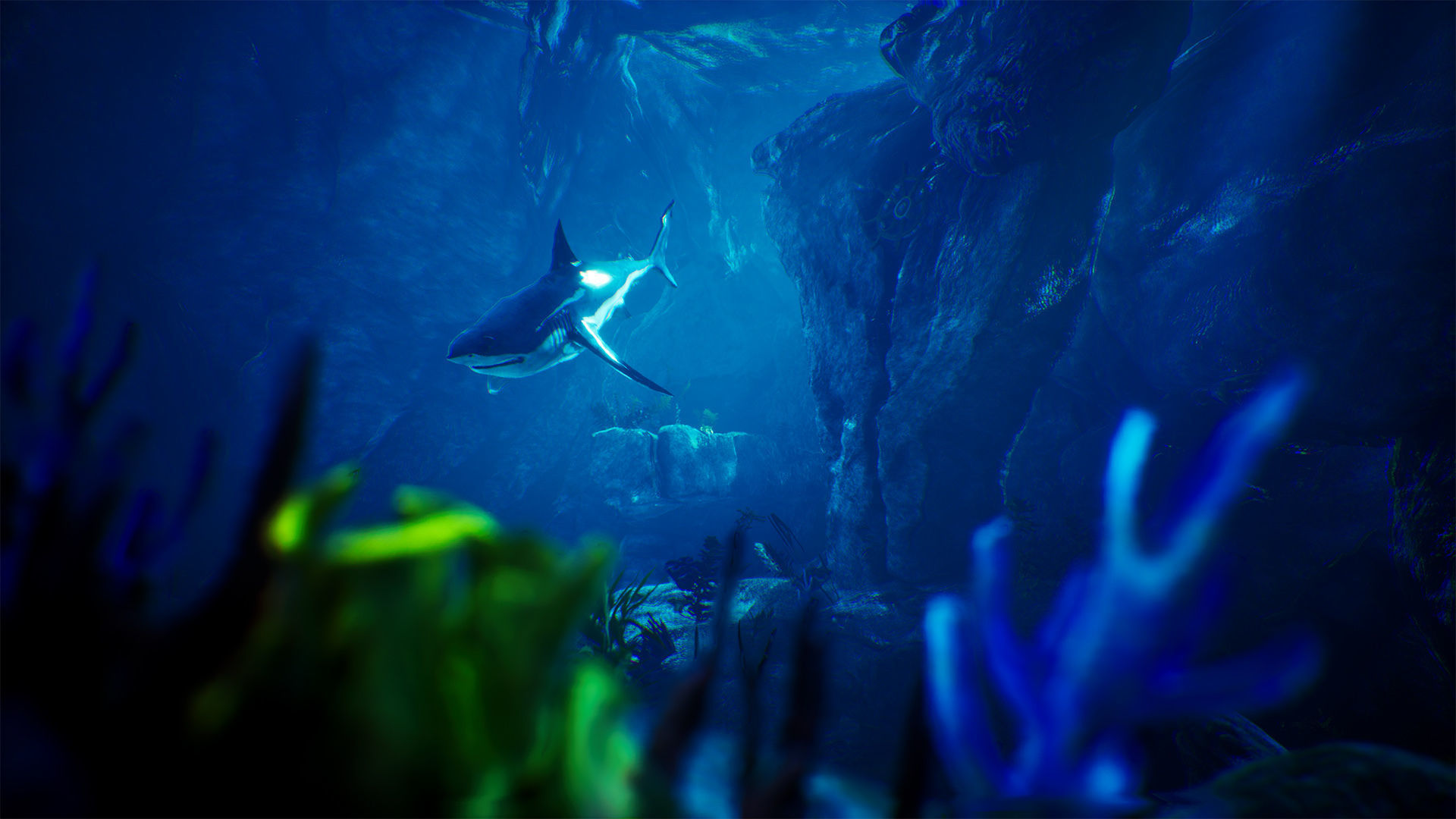 Underwater World  70 Assets Low-poly 3D model_7