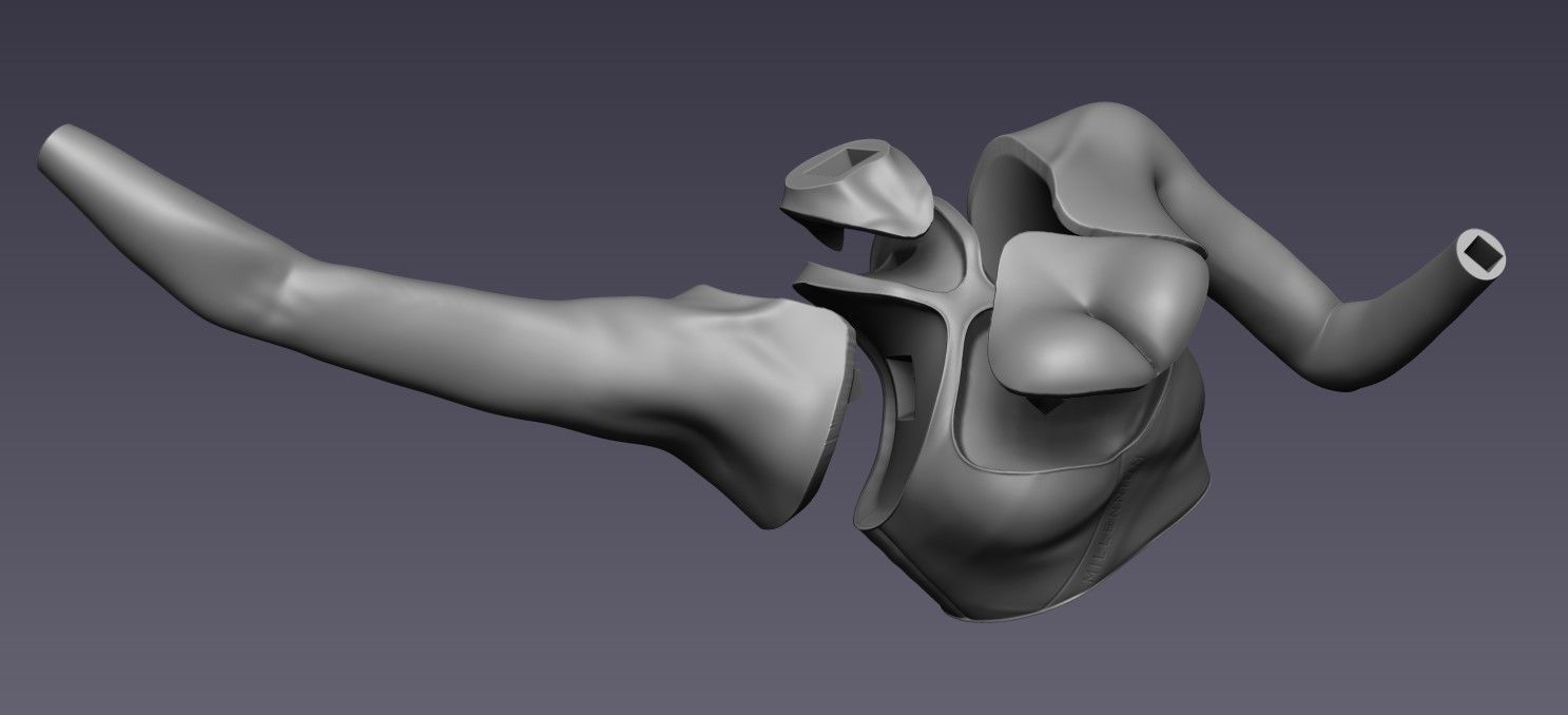 Nekozuka Hibiki Cheerleader Version - Blue Archive 3D print model_10