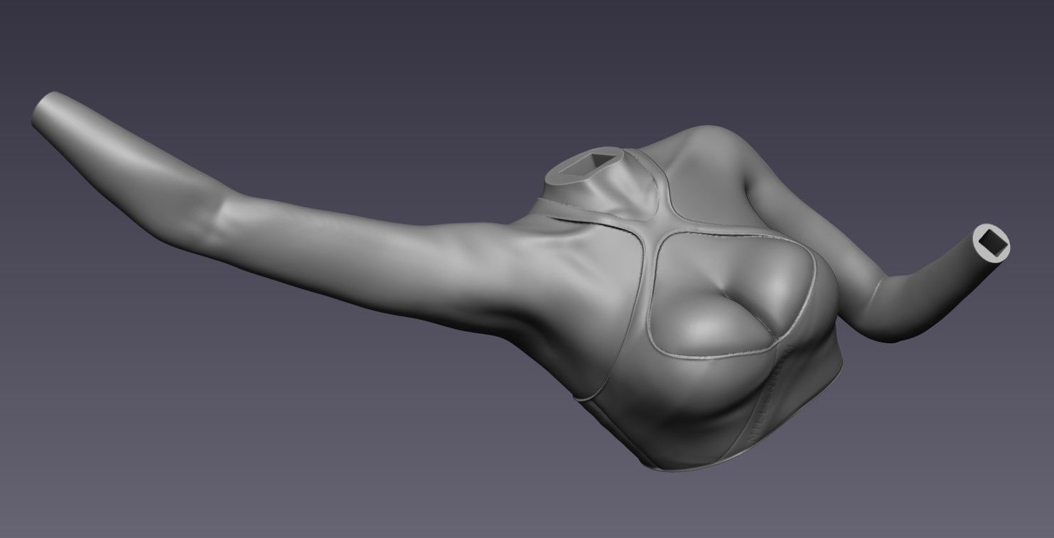 Nekozuka Hibiki Cheerleader Version - Blue Archive 3D print model_11