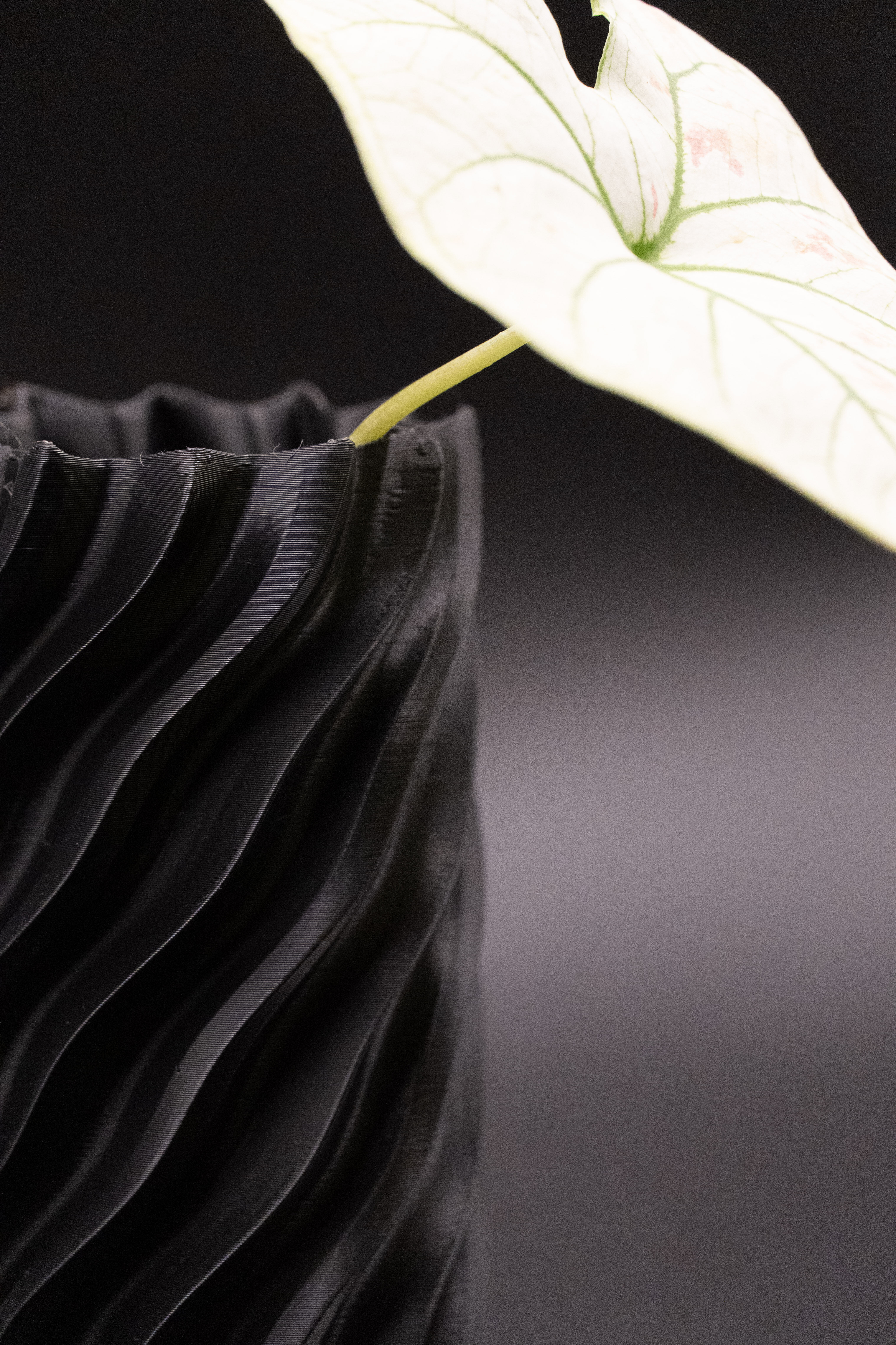 Spiral Vase 3D print model_1