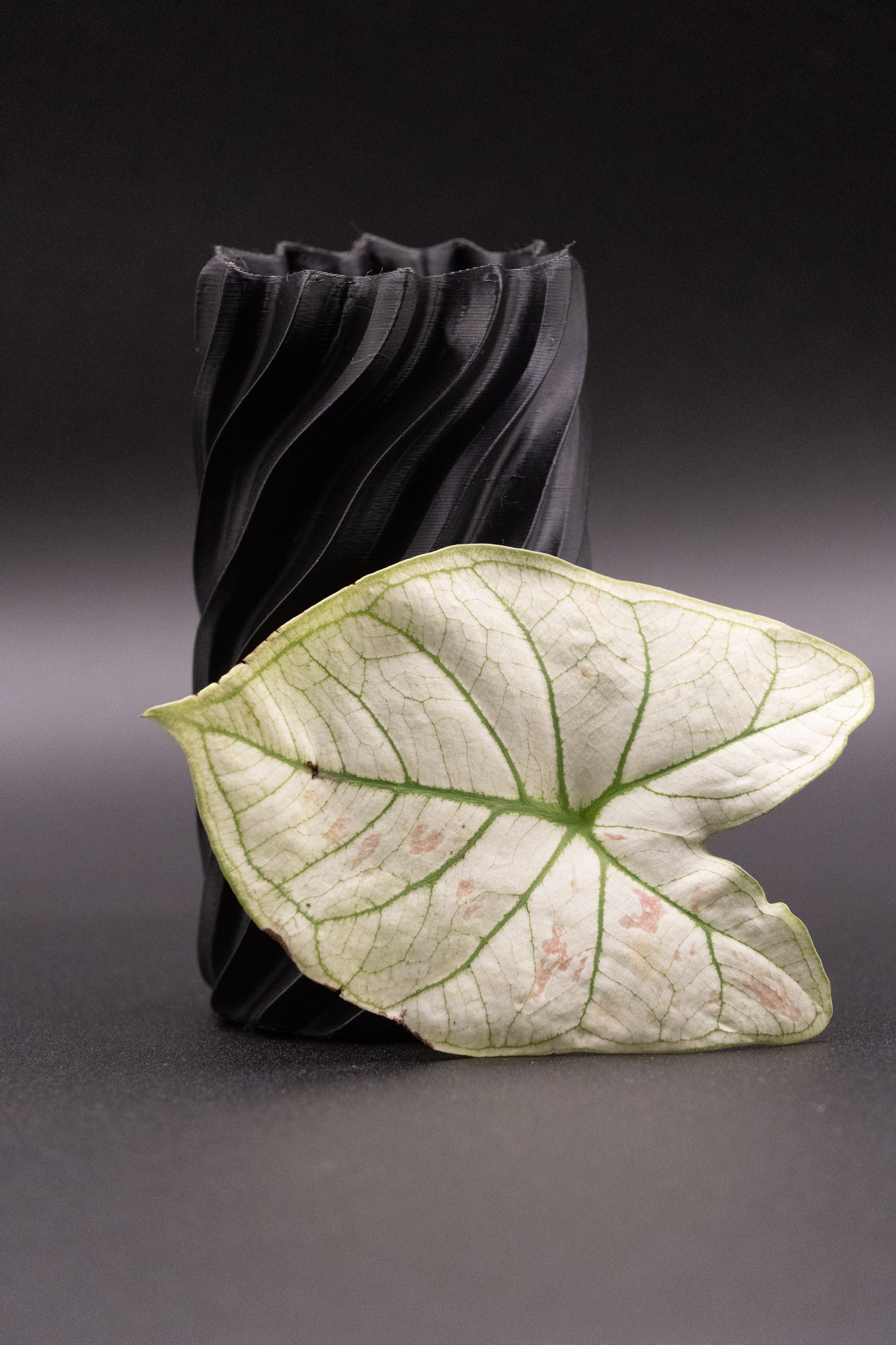 Spiral Vase 3D print model_2