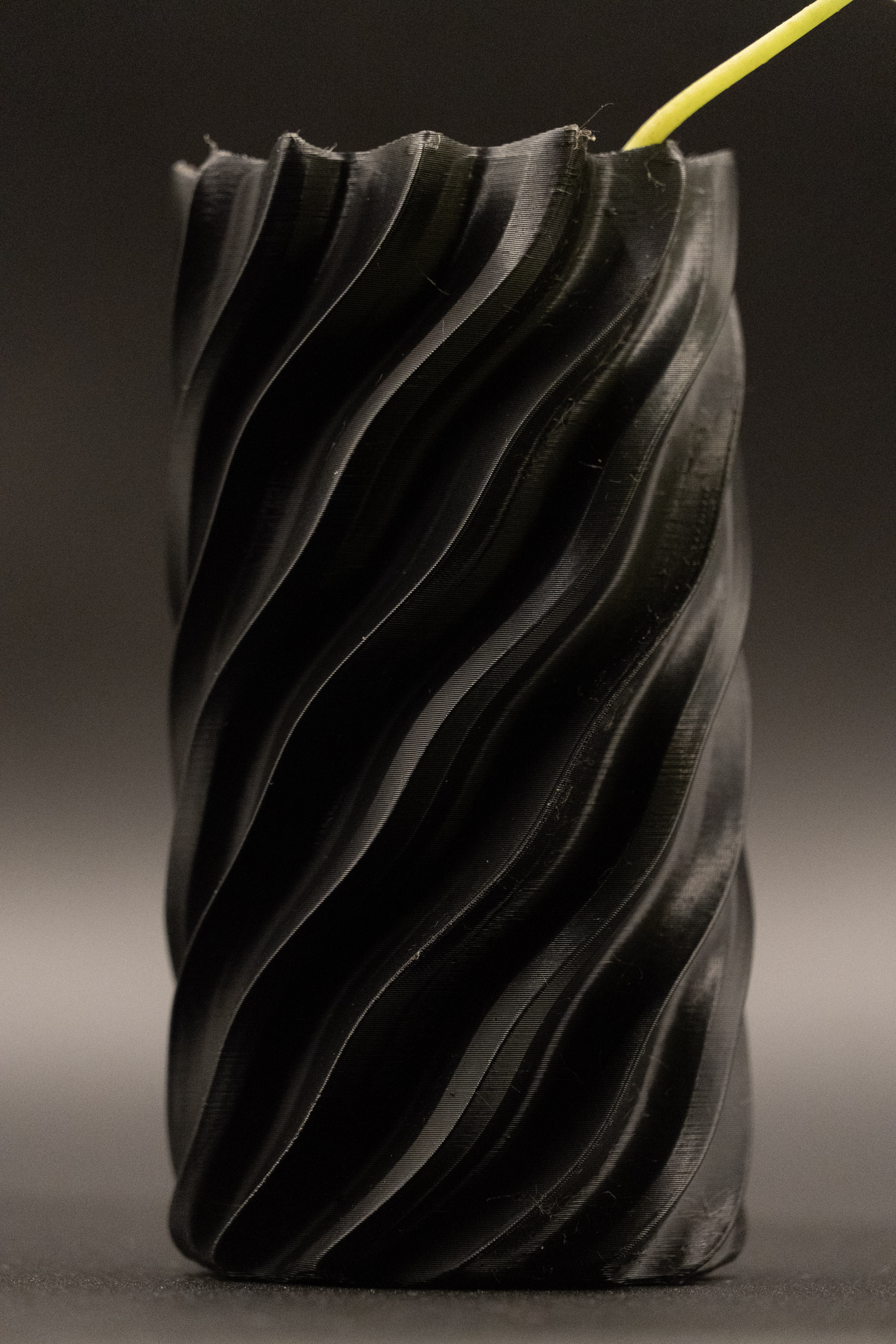 Spiral Vase 3D print model_5