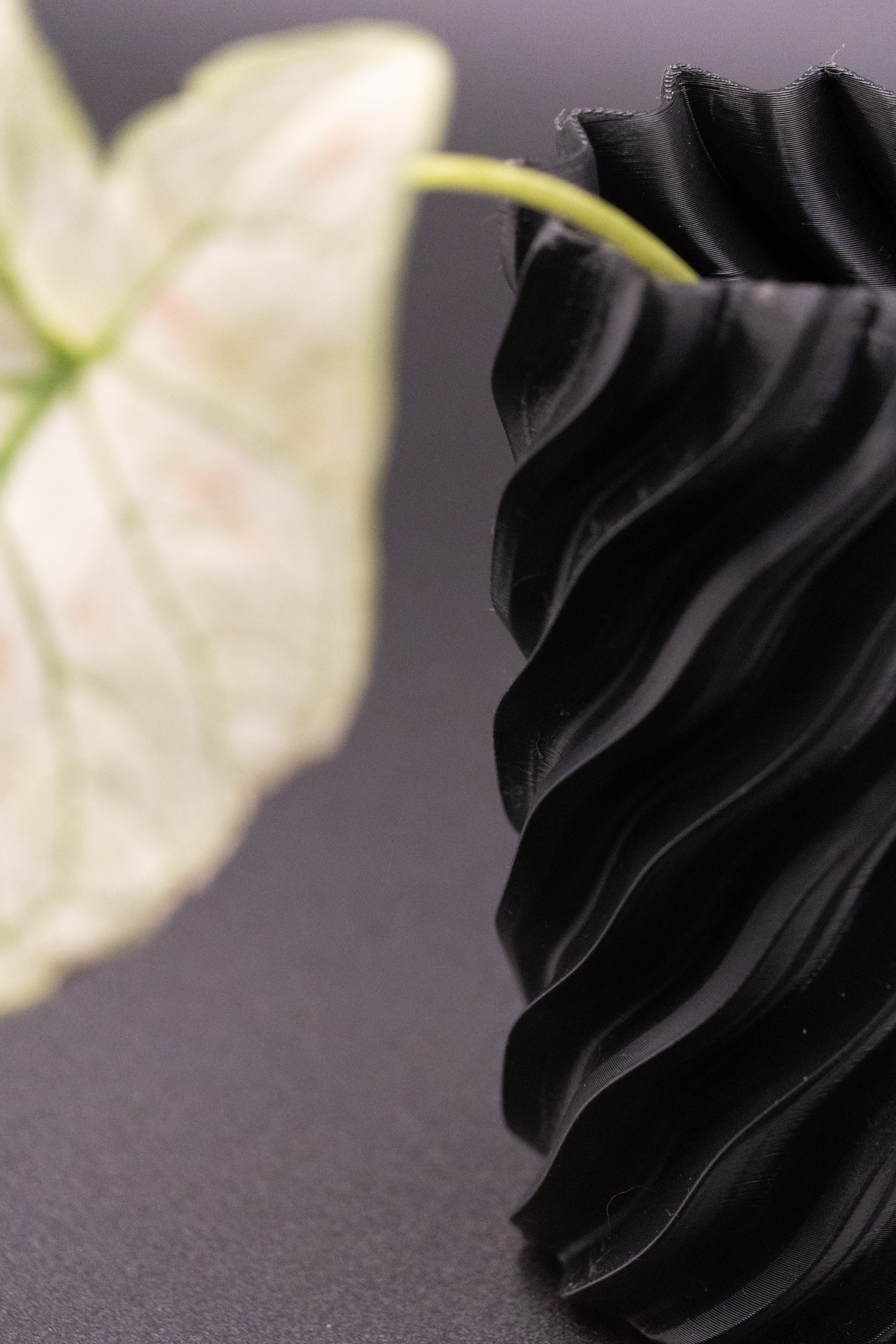 Spiral Vase 3D print model_4