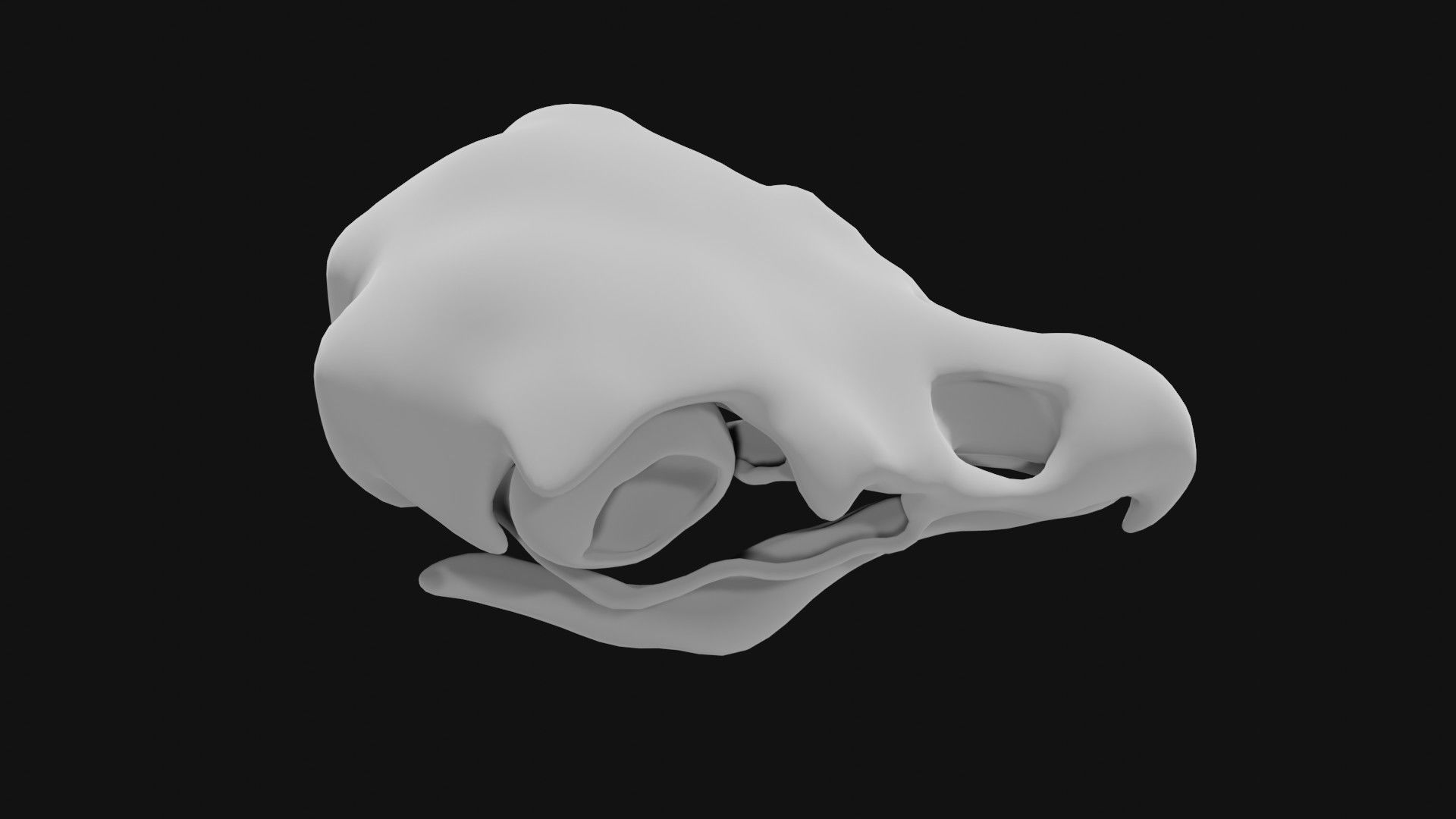 Eagle skull 3D model_1