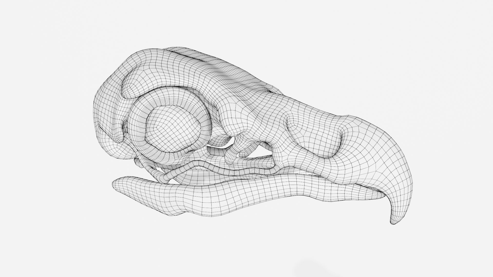 Eagle skull 3D model_7