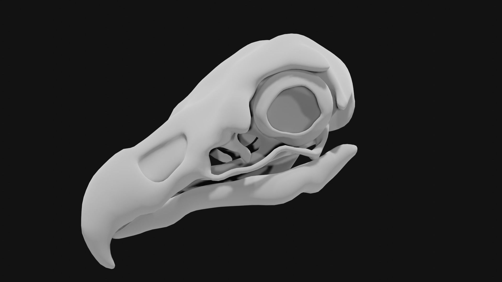 Eagle skull 3D model_2