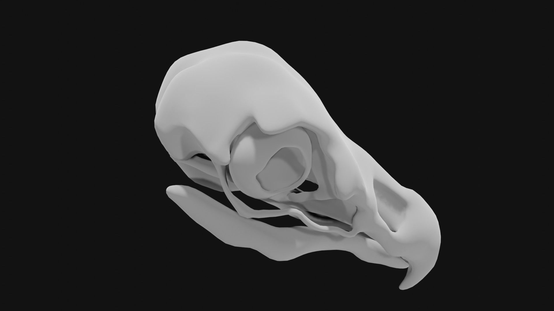 Eagle skull 3D model_6