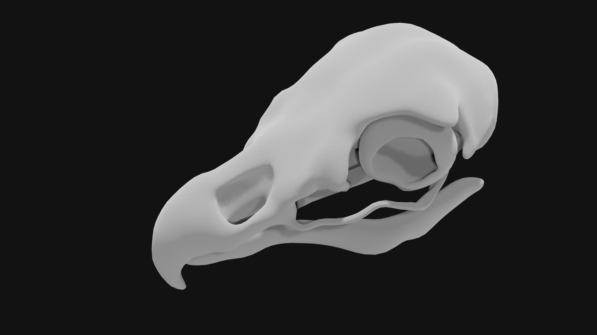Eagle skull 3D model_5