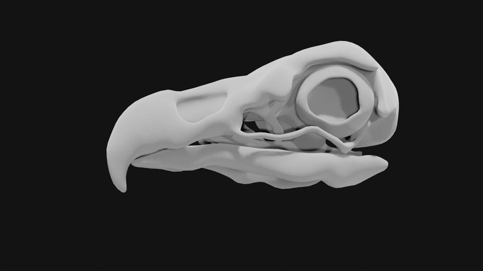 Eagle skull 3D model_4