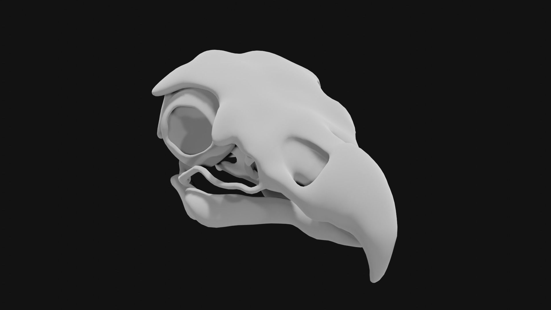 Eagle skull 3D model_3
