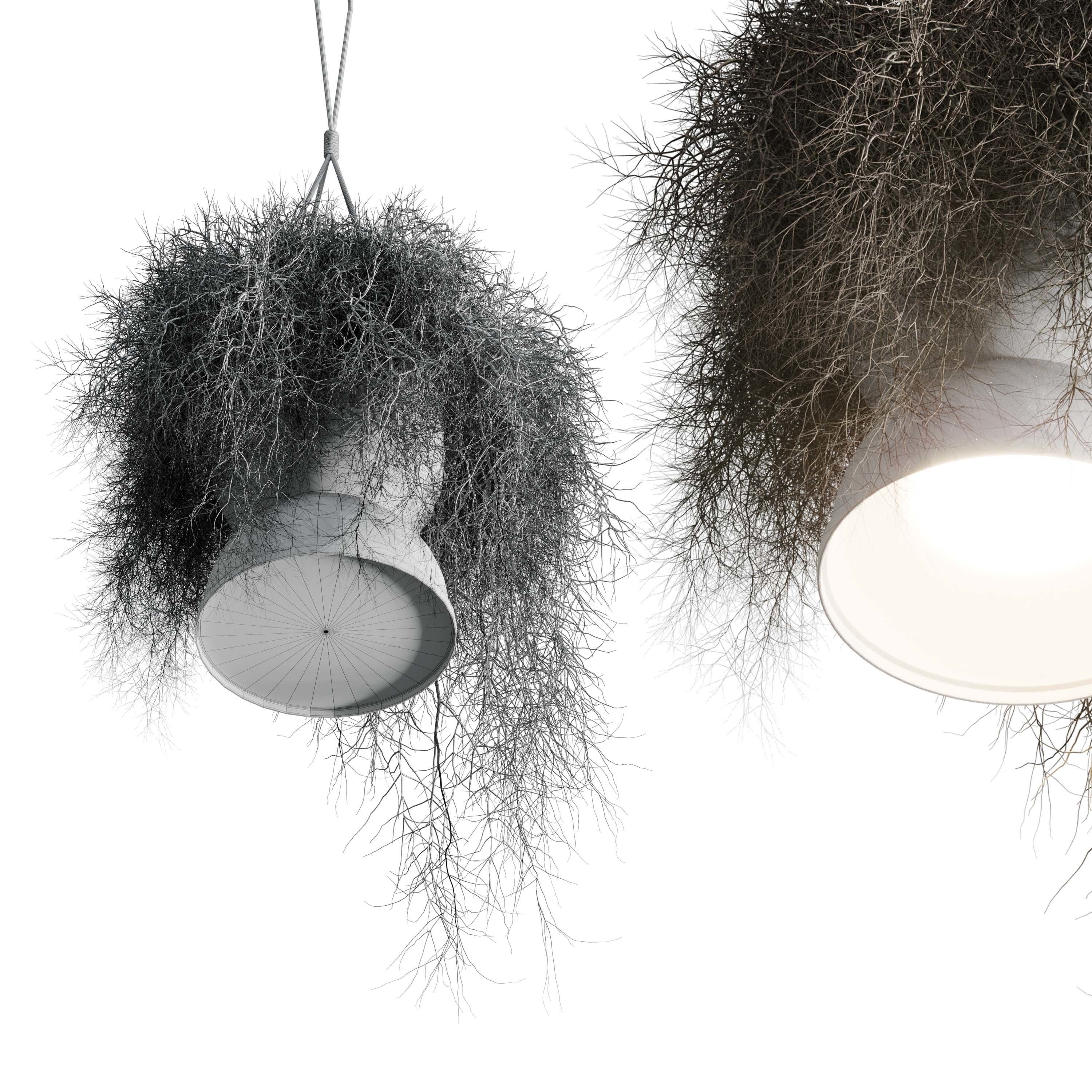 birds nest with pendant lights Low-poly 3D model_4