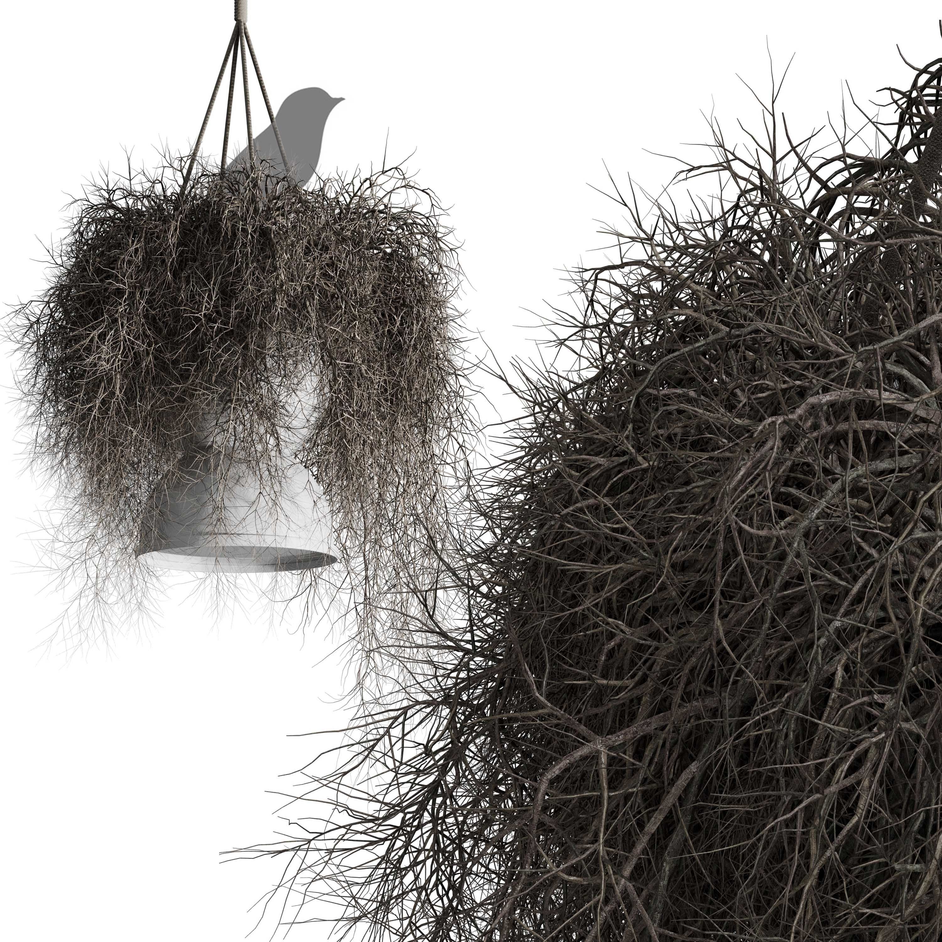 birds nest with pendant lights Low-poly 3D model_3