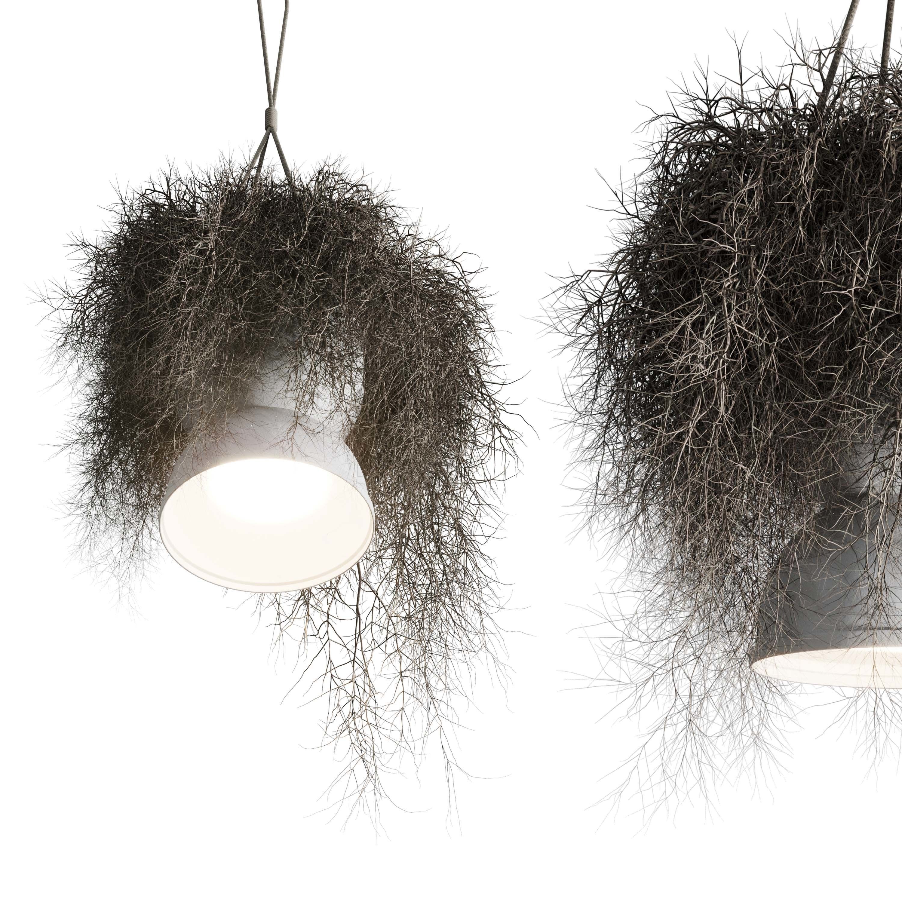 birds nest with pendant lights Low-poly 3D model_1