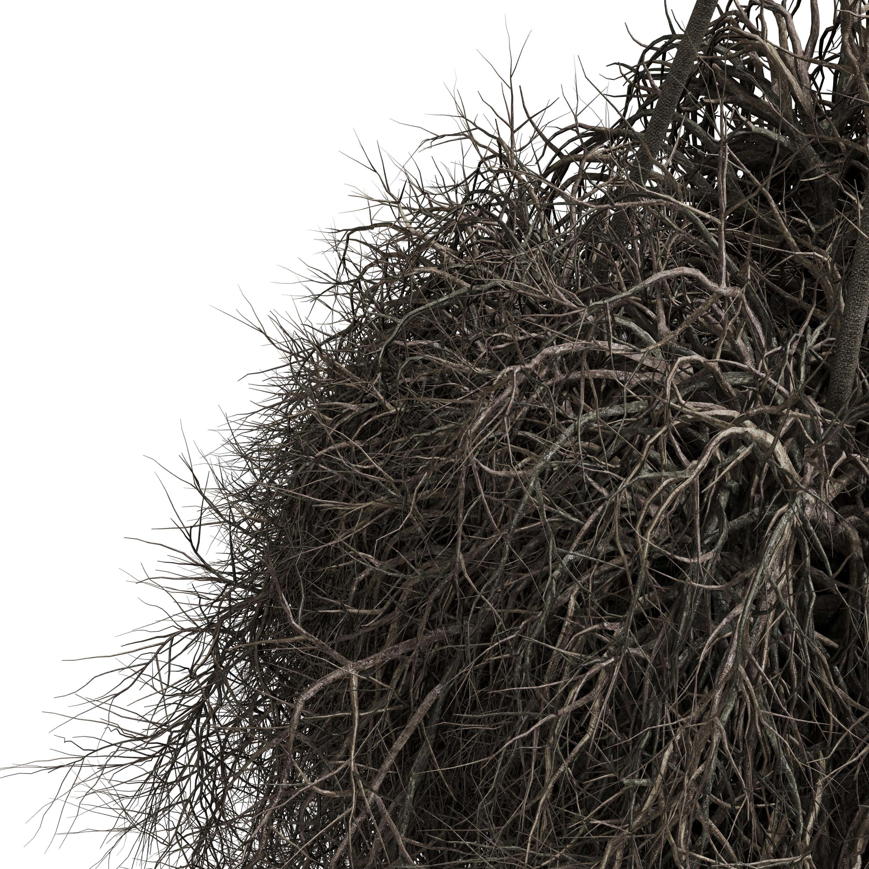 birds nest with pendant lights Low-poly 3D model_2