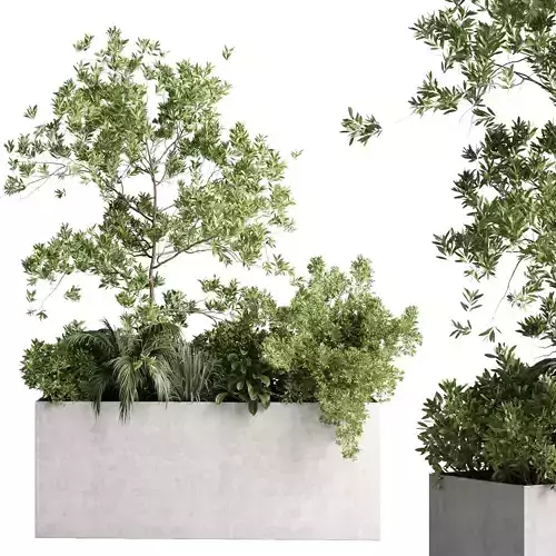 Plants box on Stand outdoor plant set in a concrete vase