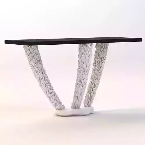 Mussel Shell Console Table
