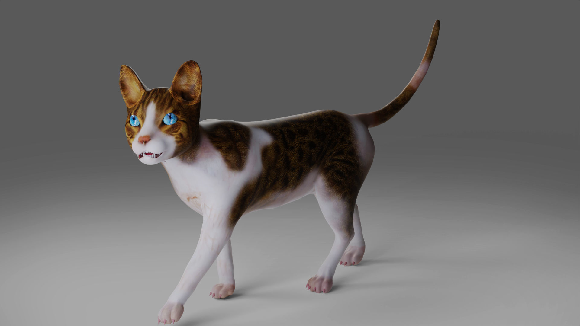 Calico Cat rigged and animated V3 Low-poly 3D model_3