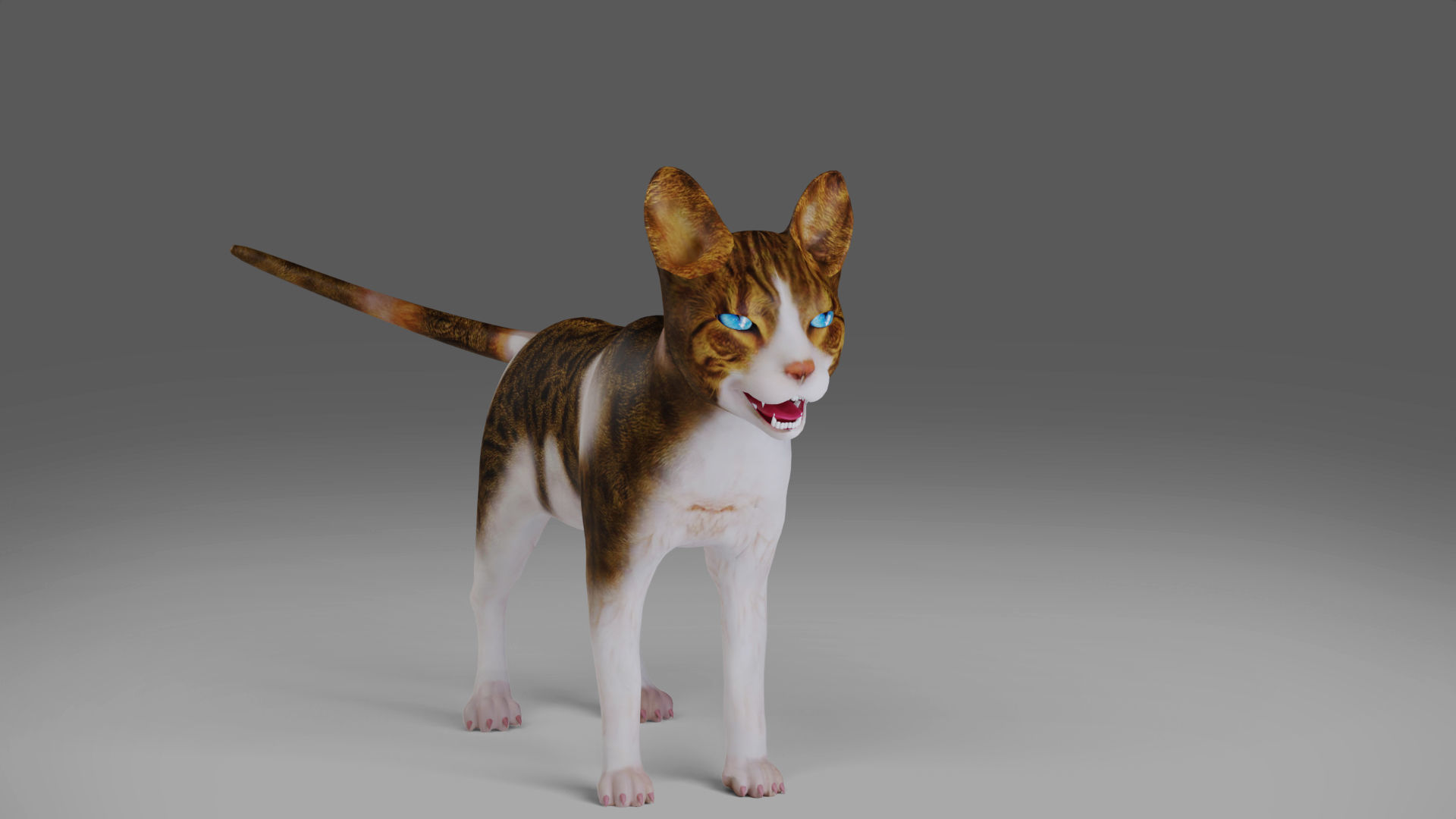 Calico Cat rigged and animated V3 Low-poly 3D model_5