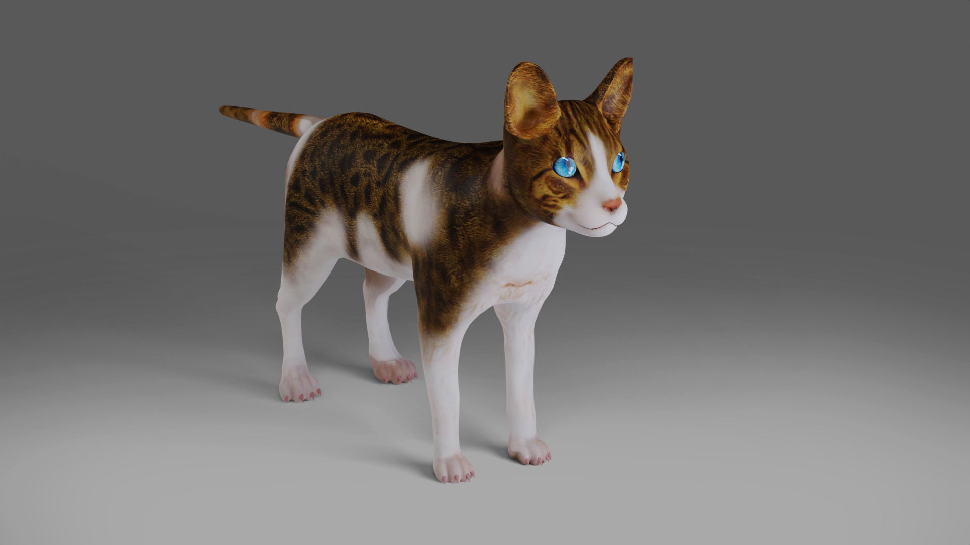 Calico Cat rigged and animated V3 Low-poly 3D model_6