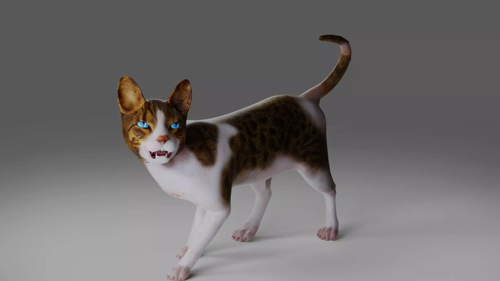 Calico Cat rigged and animated V3 Low-poly 3D model_0
