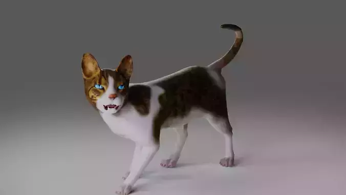 Calico Cat rigged and animated V3