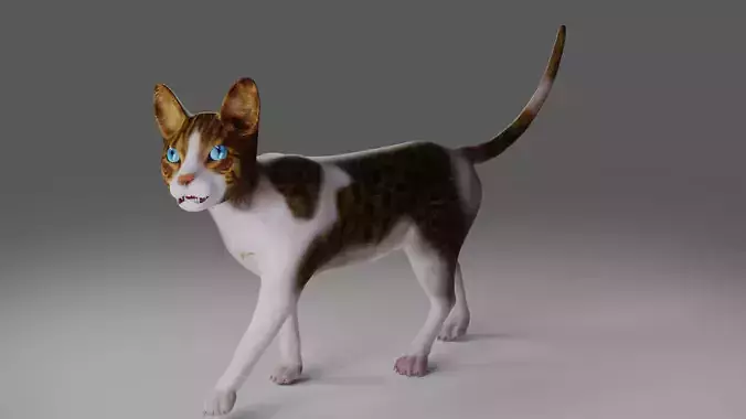 Calico Cat Rigged V3 in Blender  Low-poly 3D model