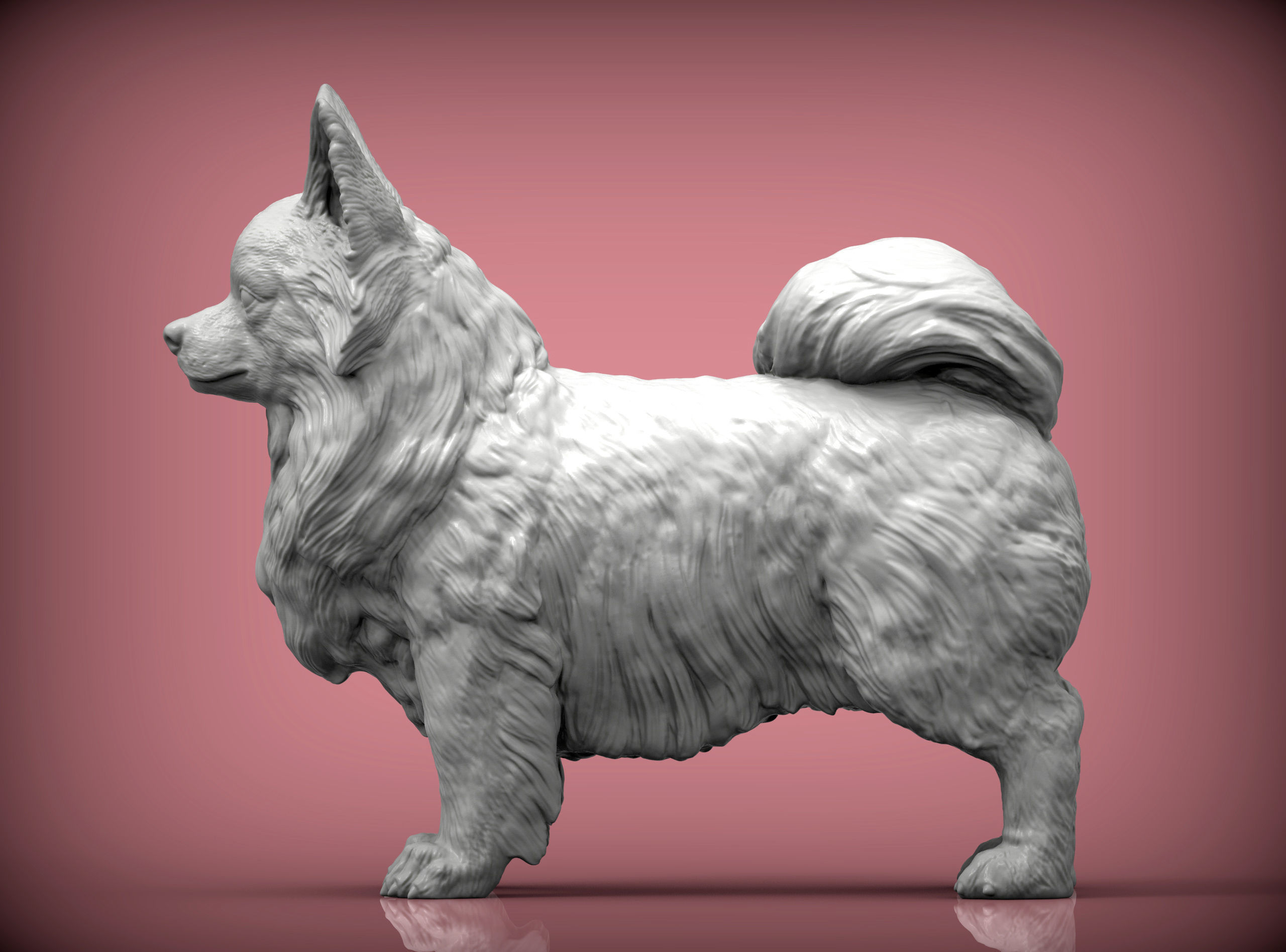 Papillon  3D print model_2
