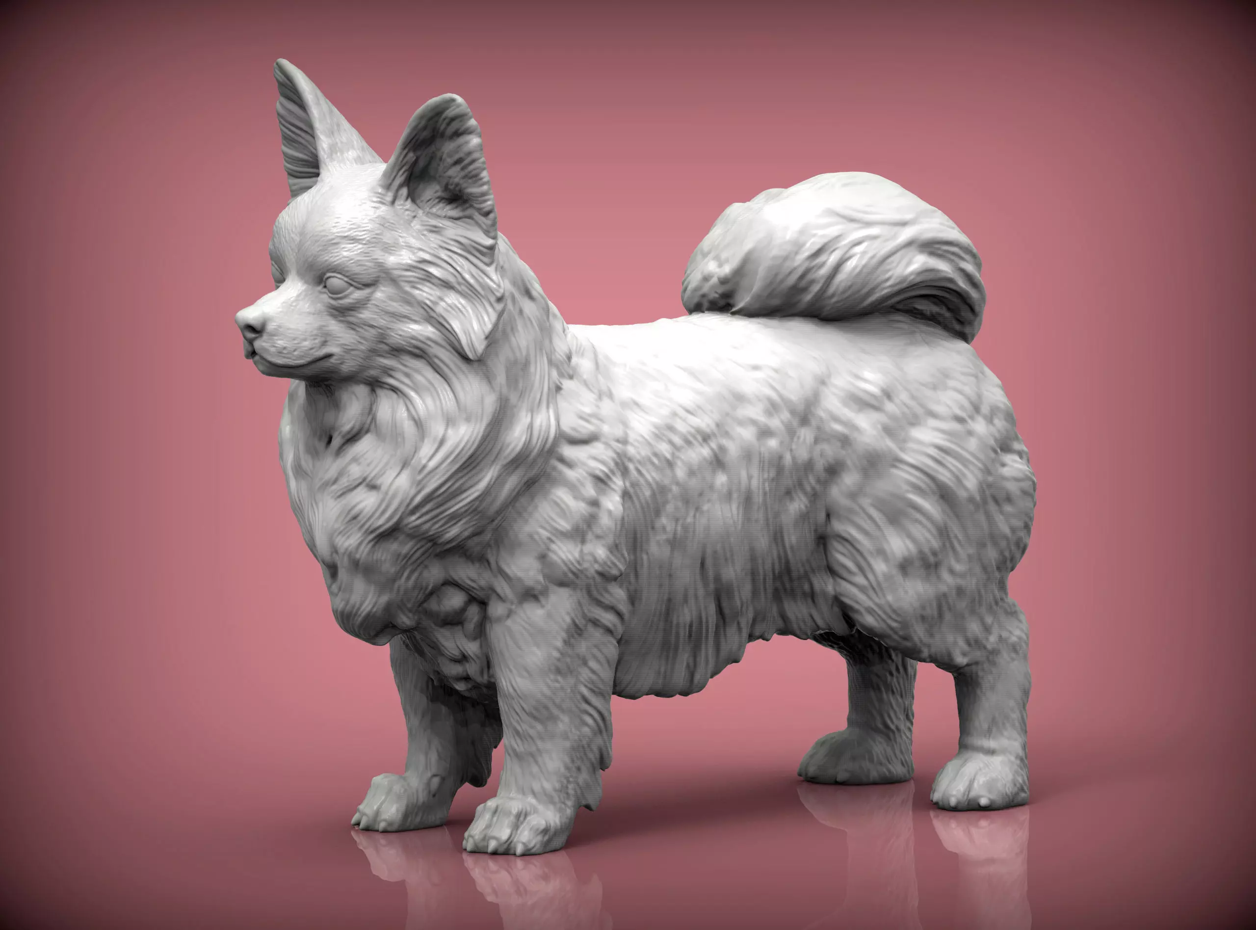 Papillon  3D print model_0