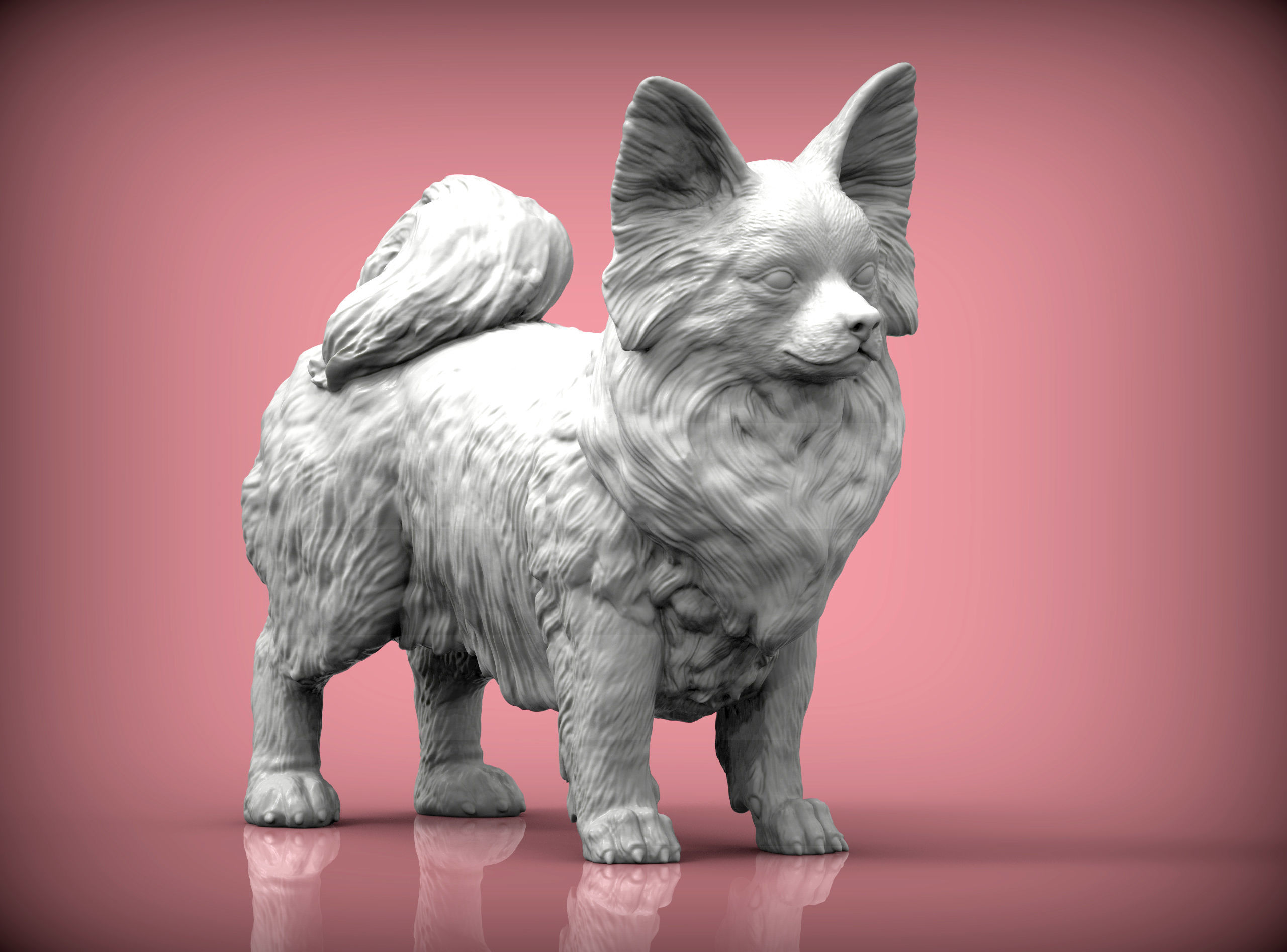 Papillon  3D print model_3