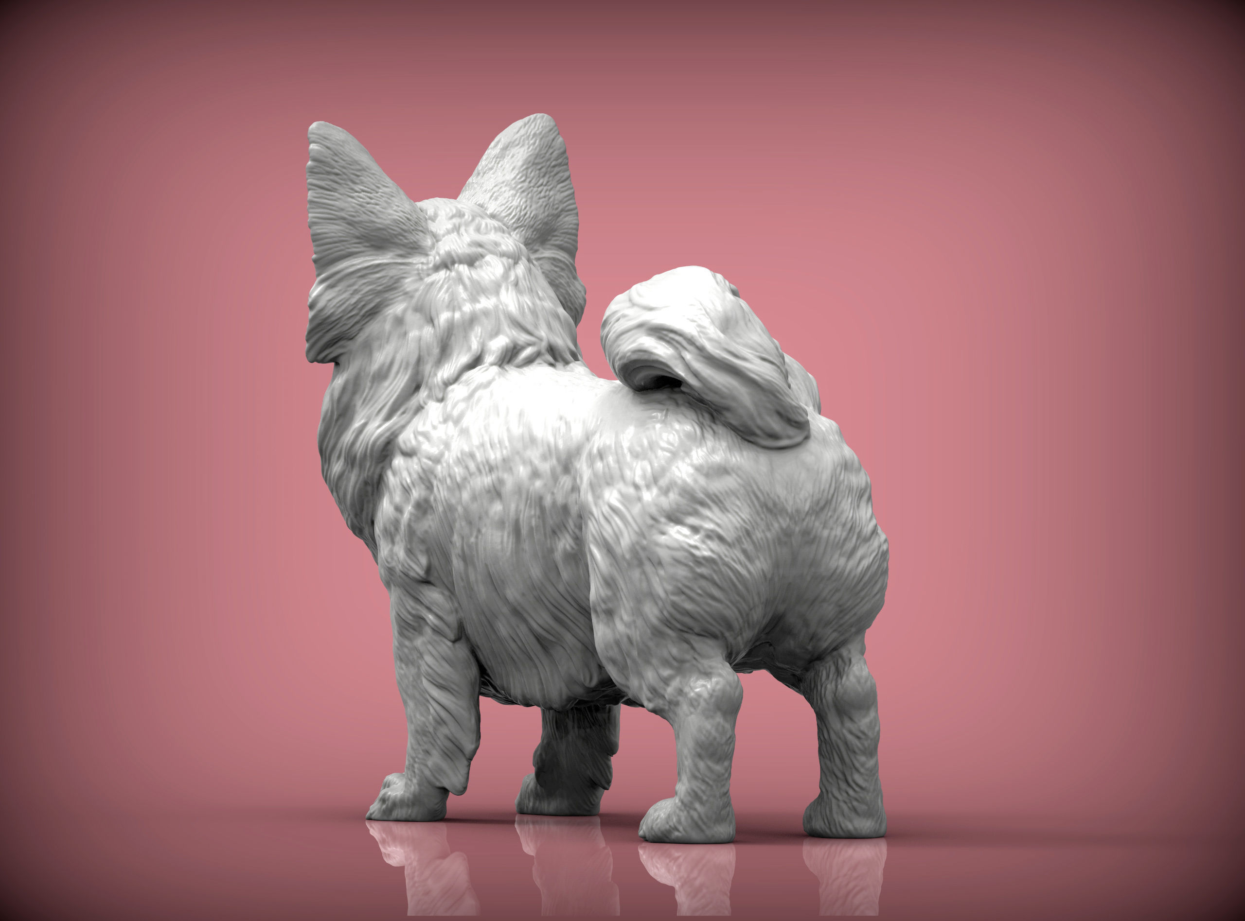 Papillon  3D print model_5