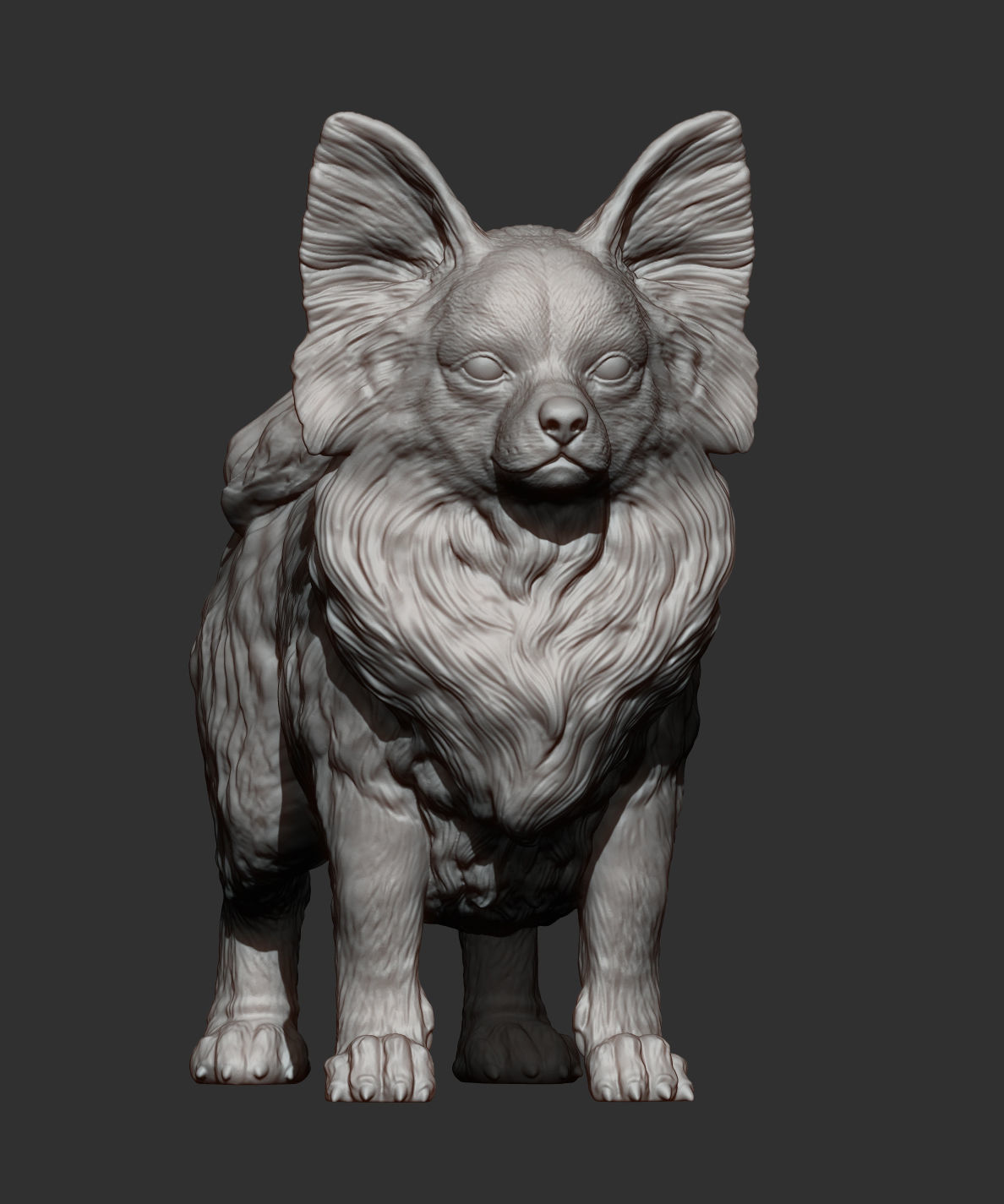 Papillon  3D print model_11