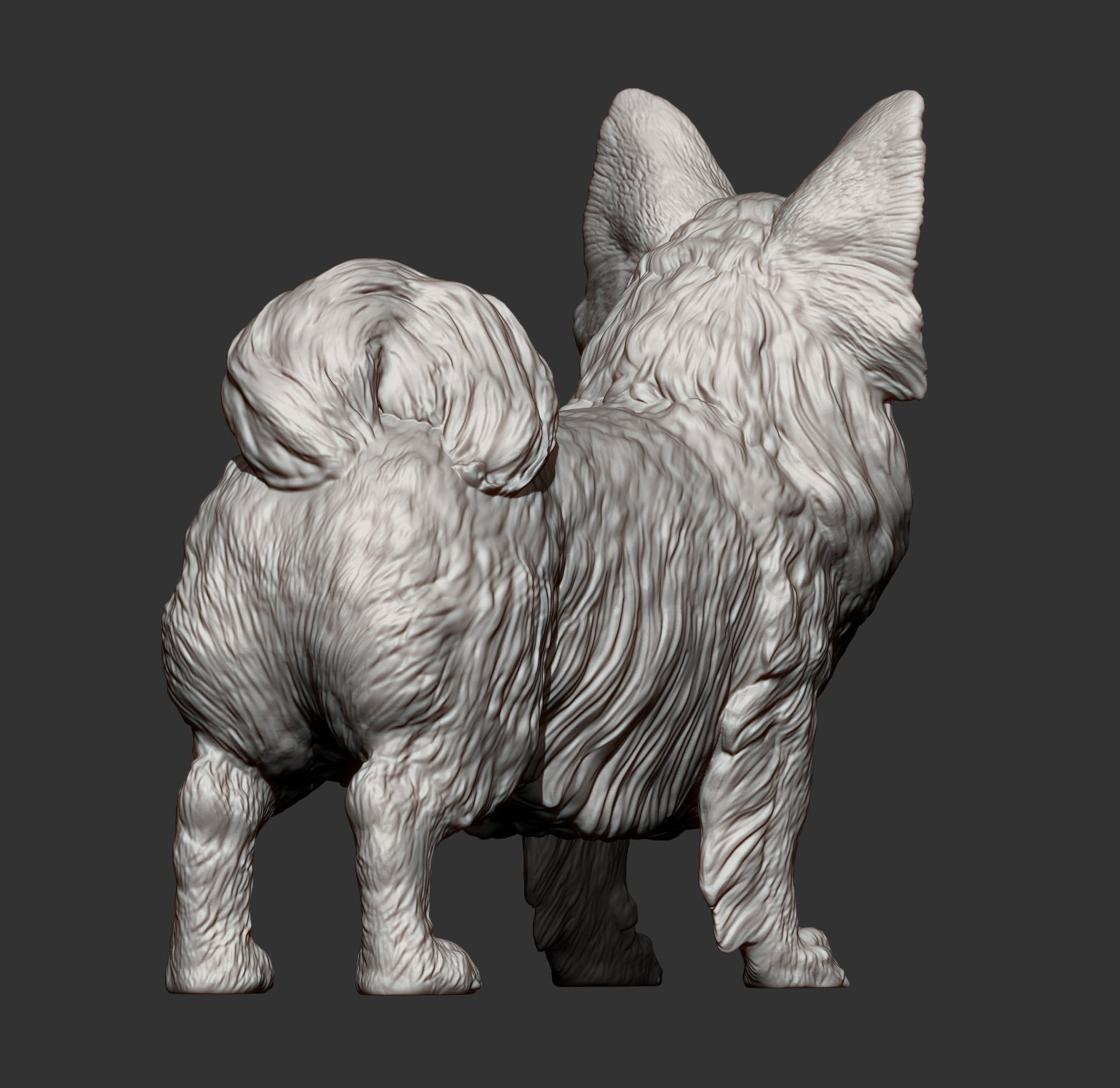 Papillon  3D print model_12