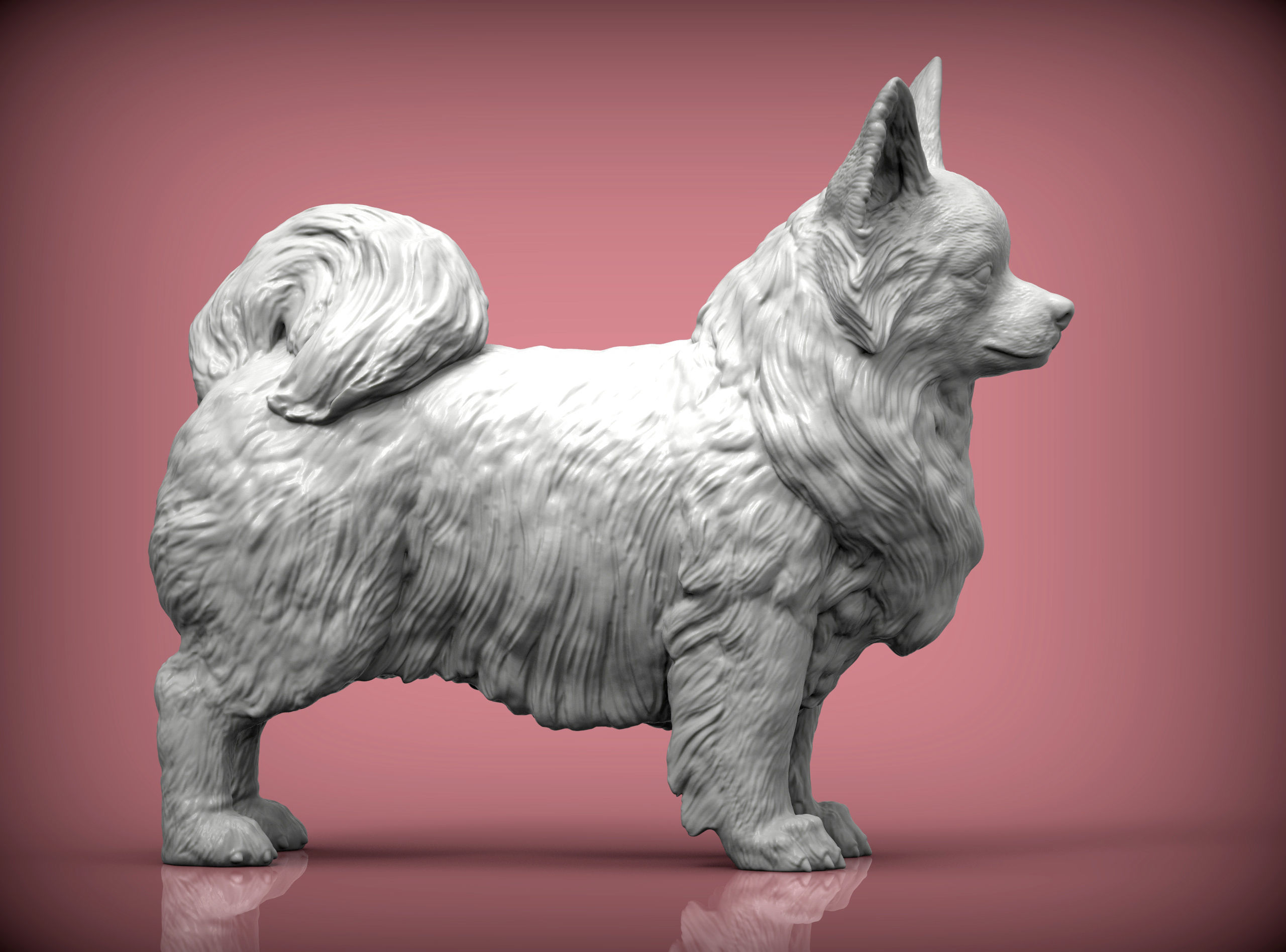 Papillon  3D print model_8
