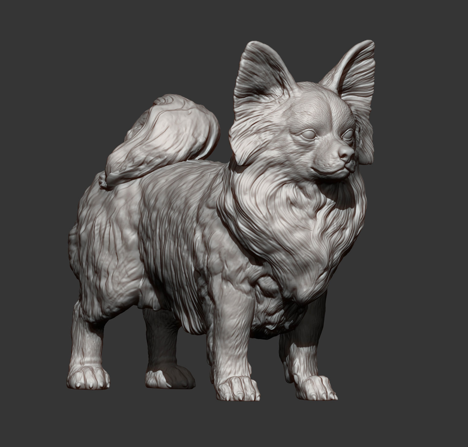 Papillon  3D print model_14