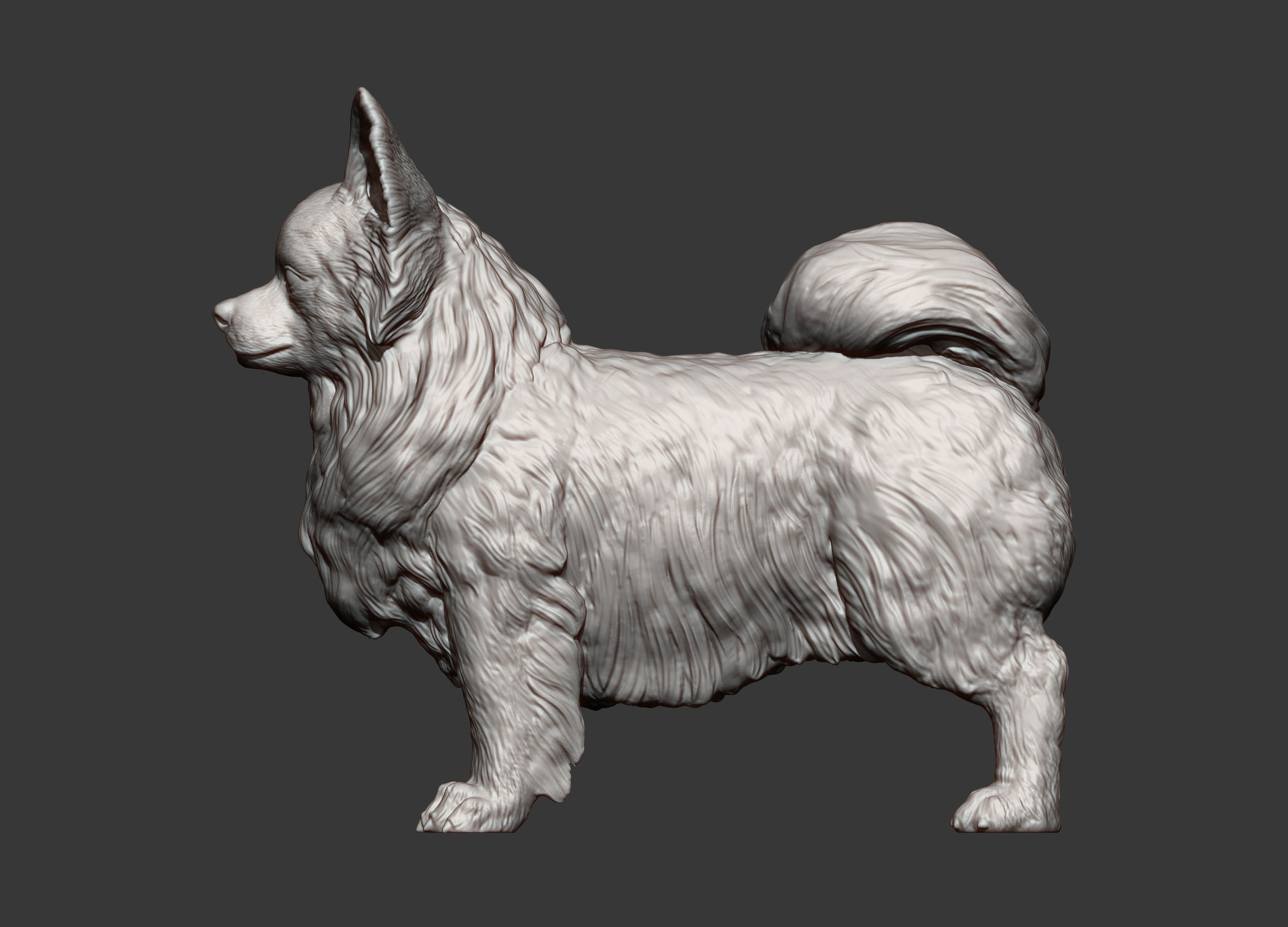 Papillon  3D print model_13