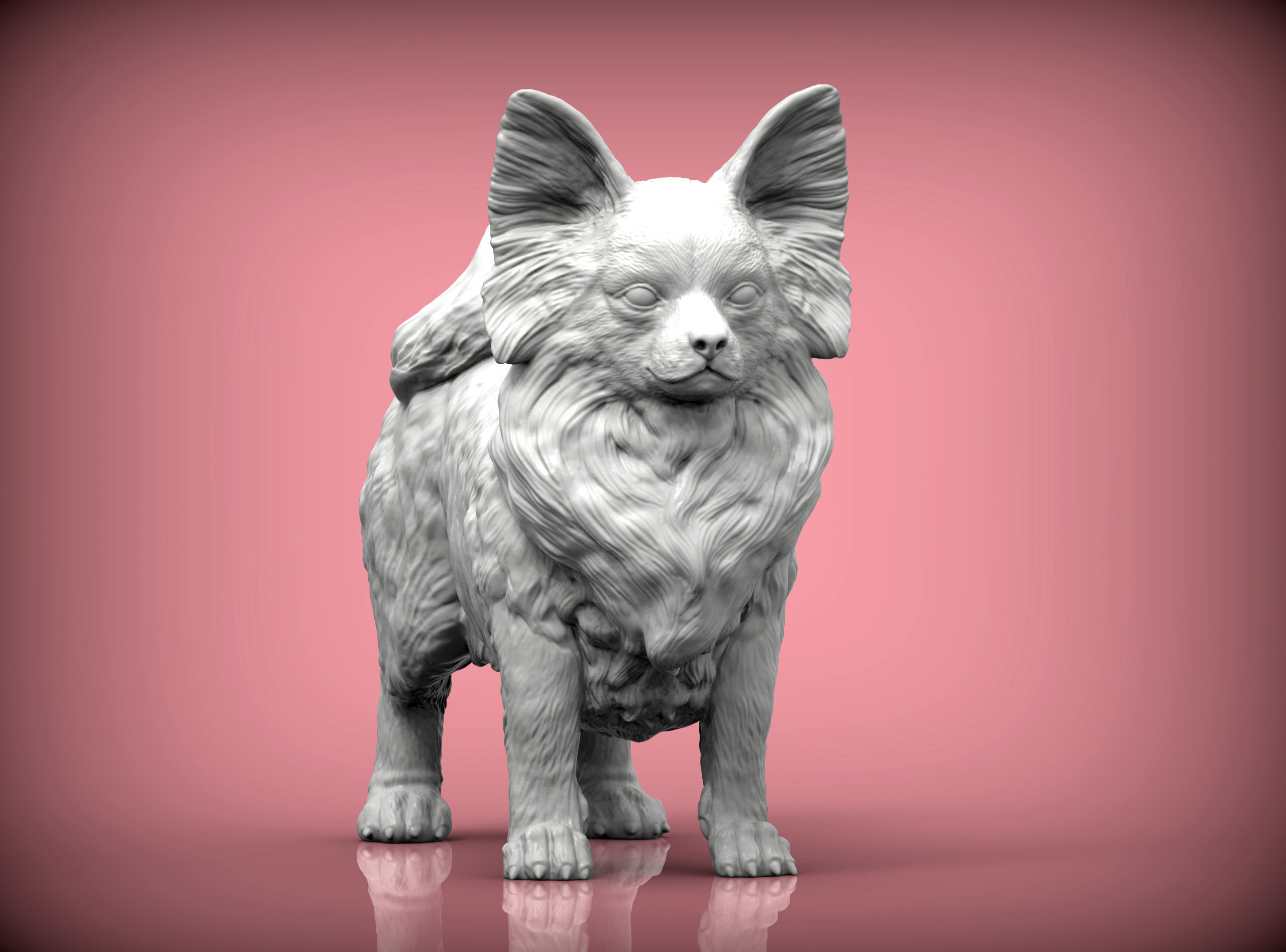 Papillon  3D print model_7