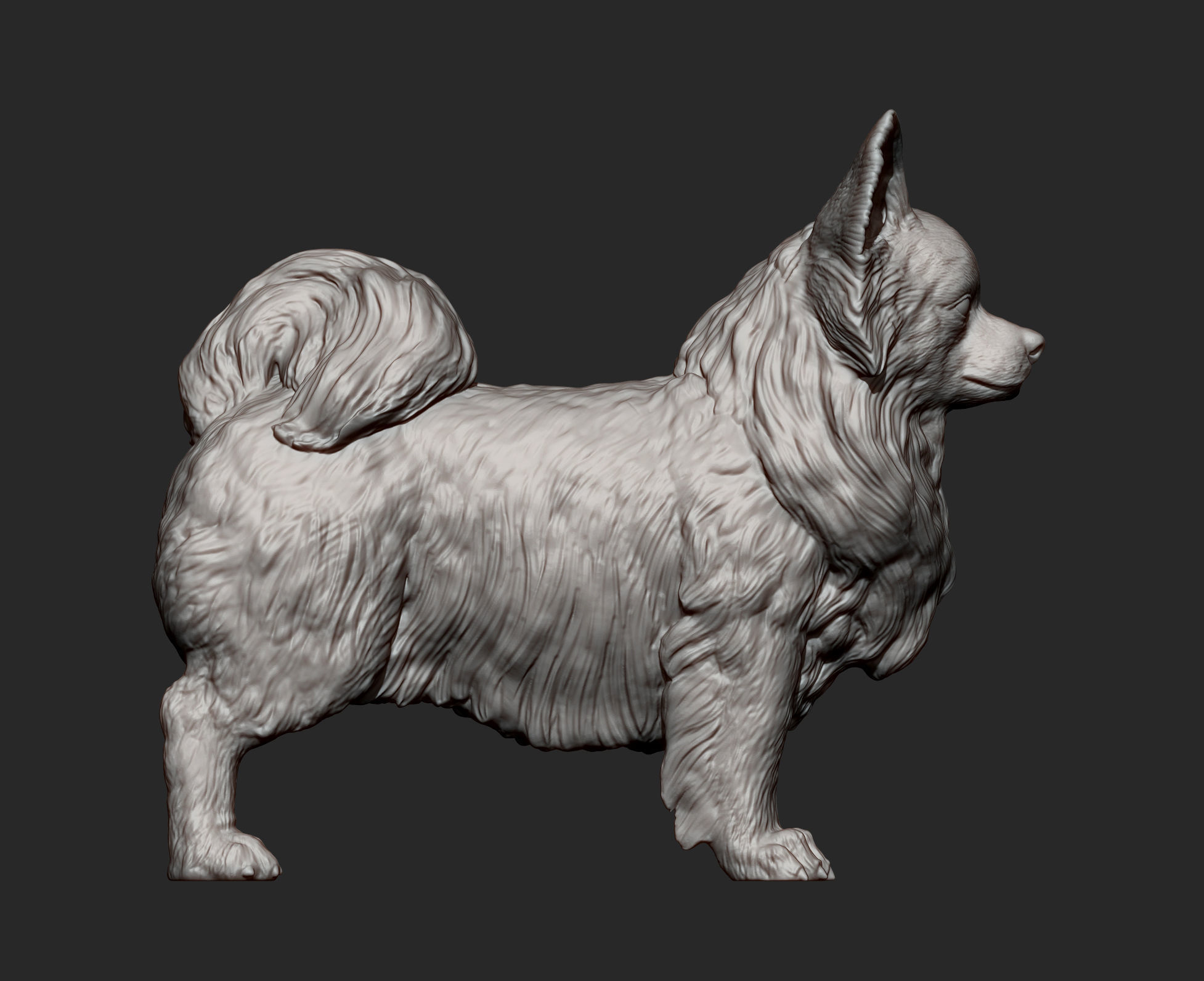 Papillon  3D print model_6