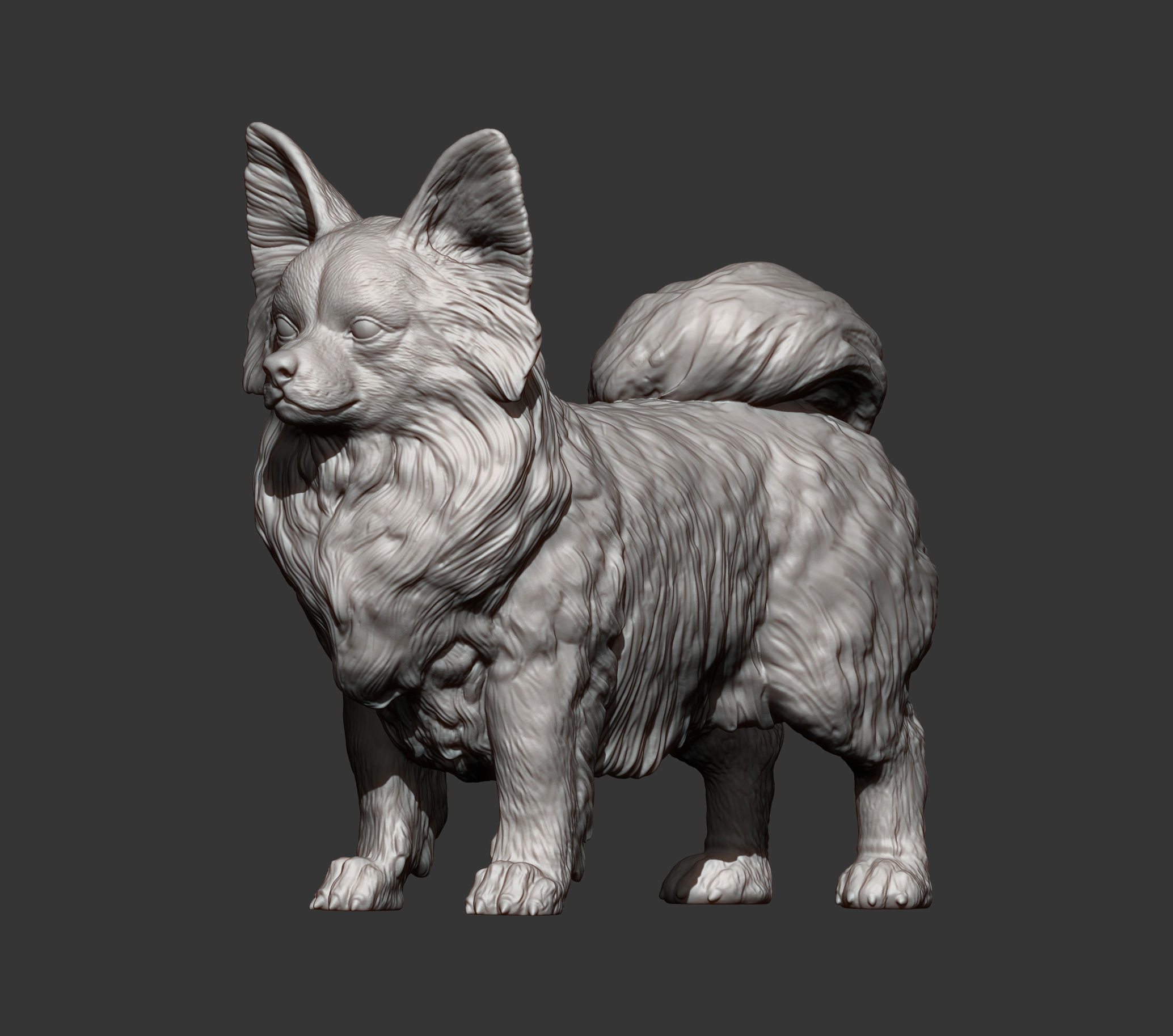 Papillon  3D print model_9