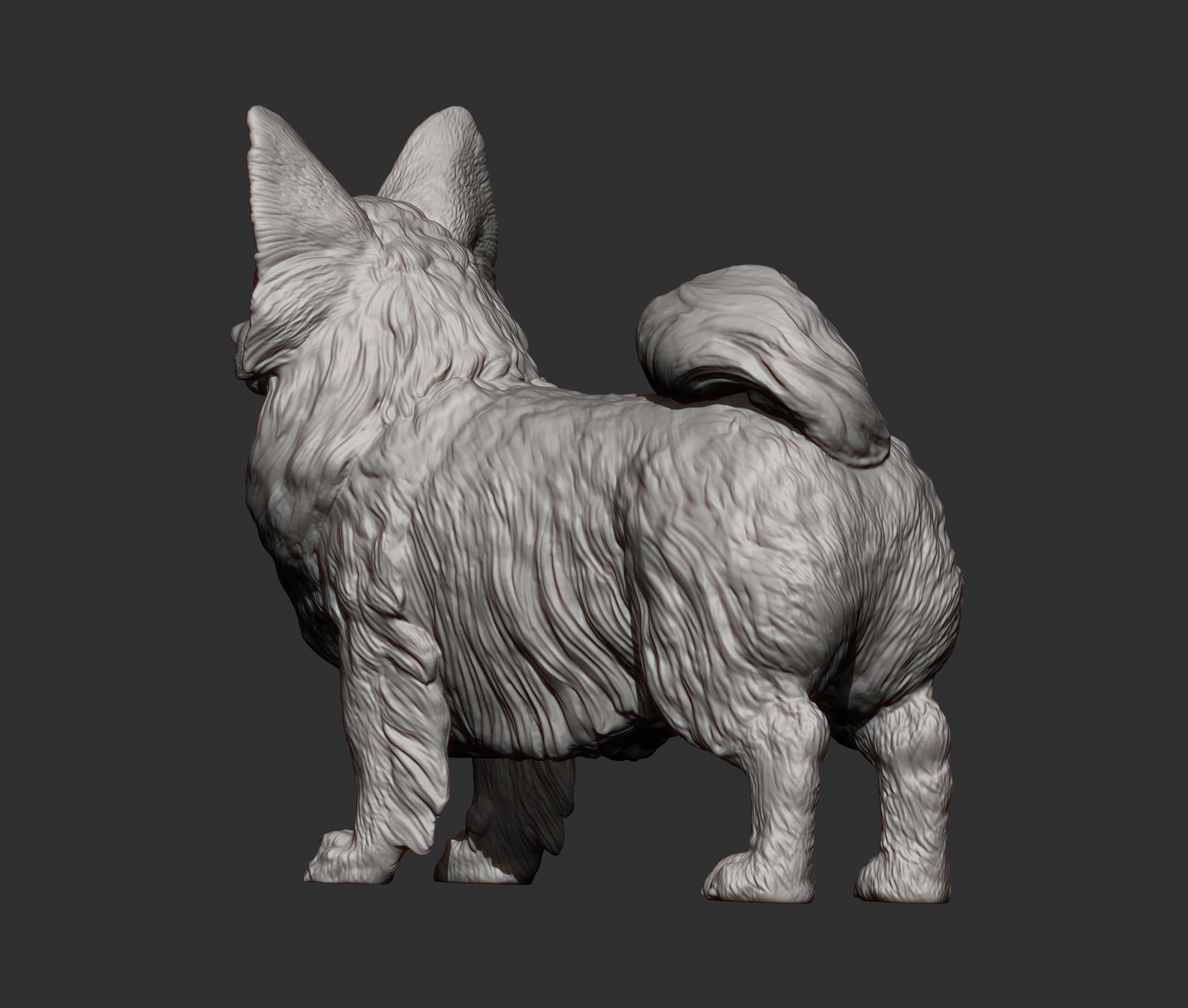 Papillon  3D print model_10