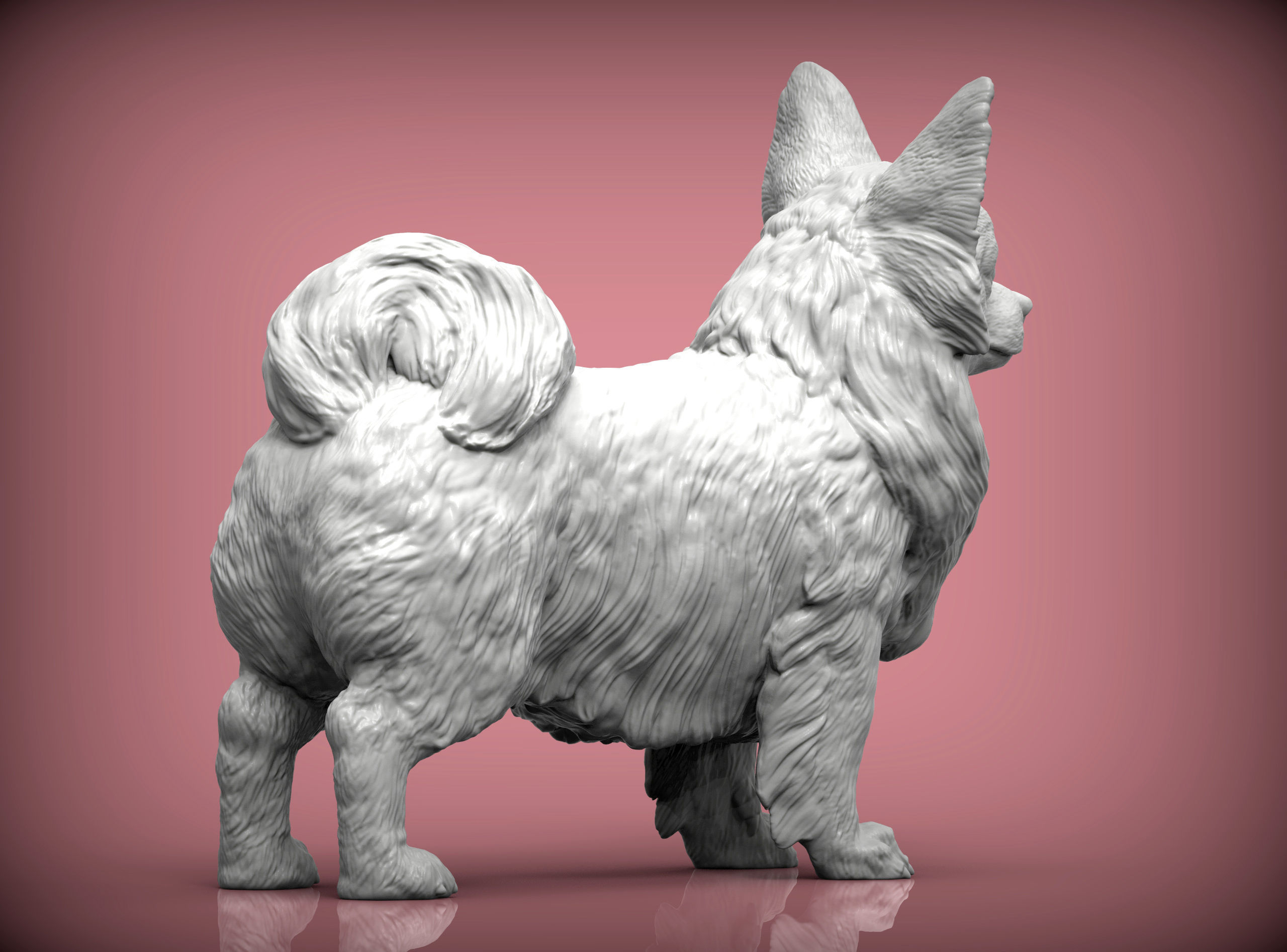 Papillon  3D print model_4