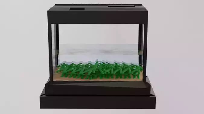 Fish tank