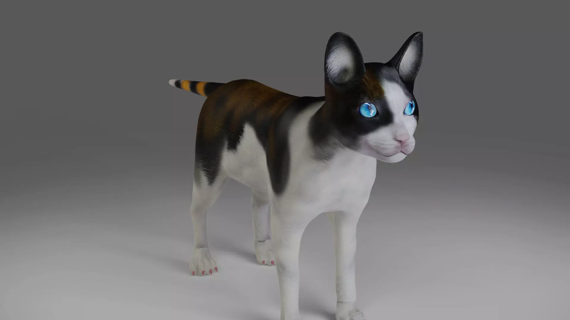 Calico Cat NO Rigged in Blender Low-poly 3D model_0