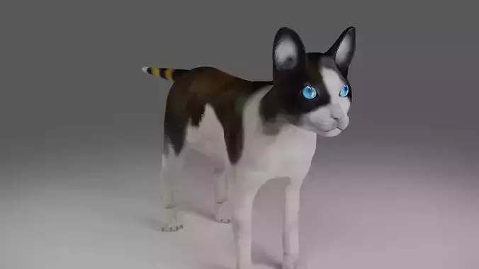 Calico Cat NO Rigged in Blender