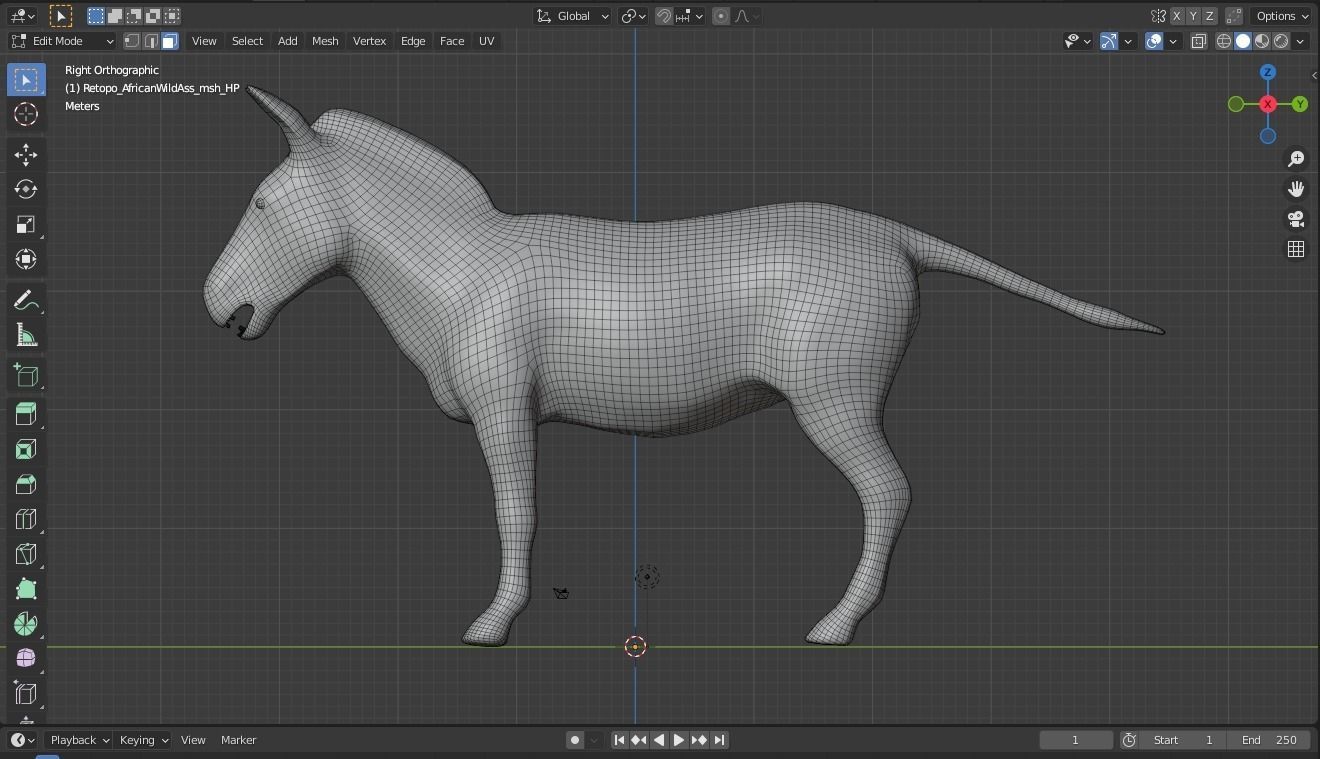 Donkey Animal For Games and Animation Low-poly 3D model_20