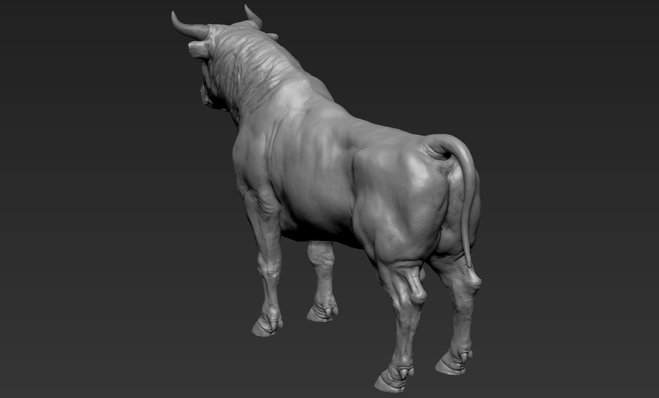 Bull Sculpt 3D model_7